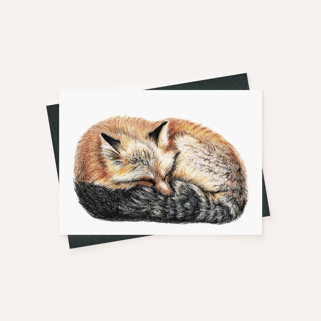 Fox sleeping - curled in ball - greeting card