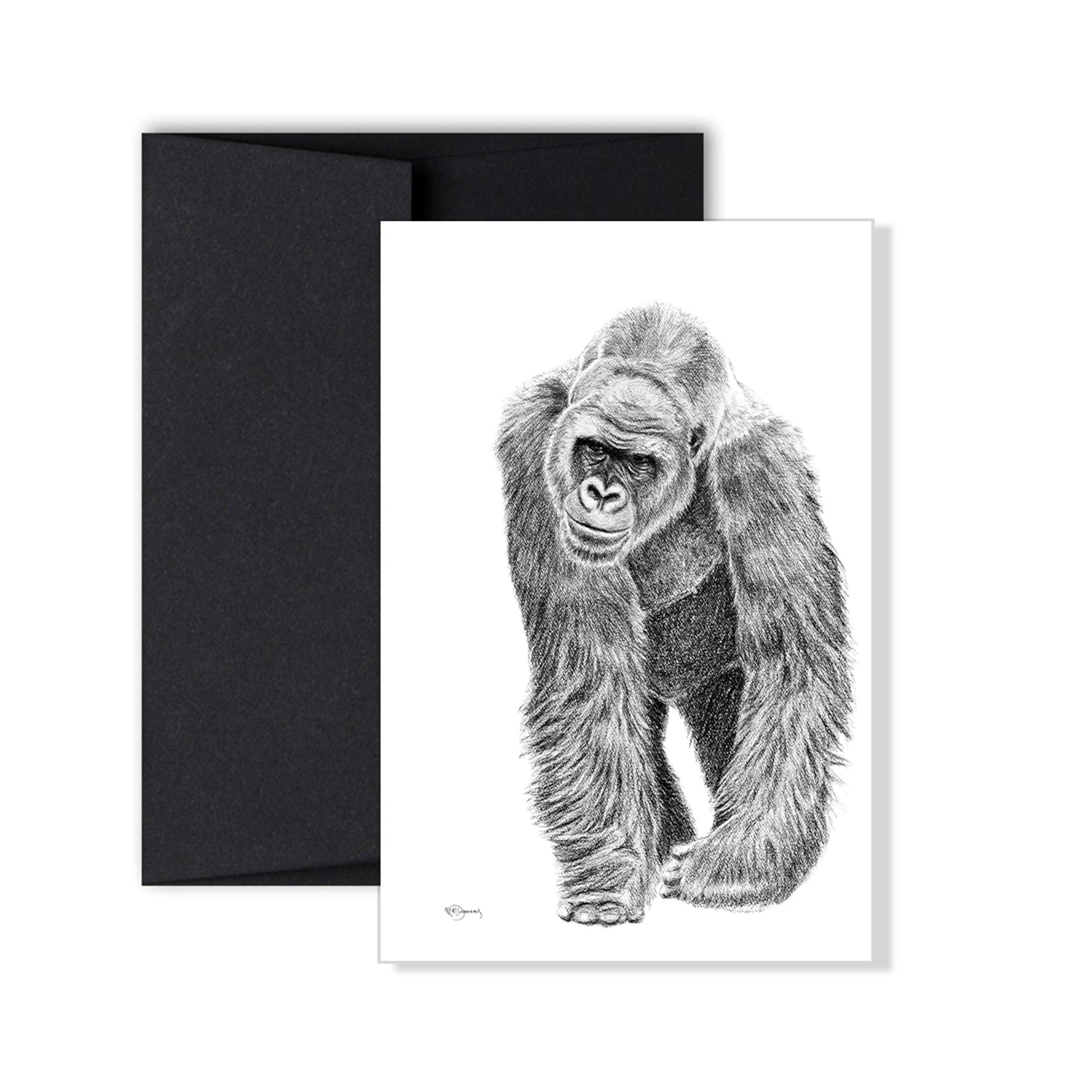 Complete Zoo Greeting Card Collection