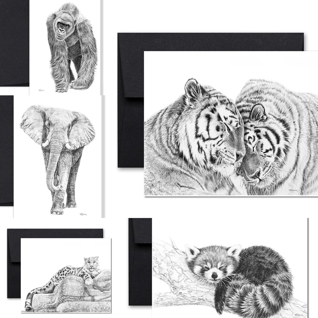 Complete Zoo Greeting Card Collection