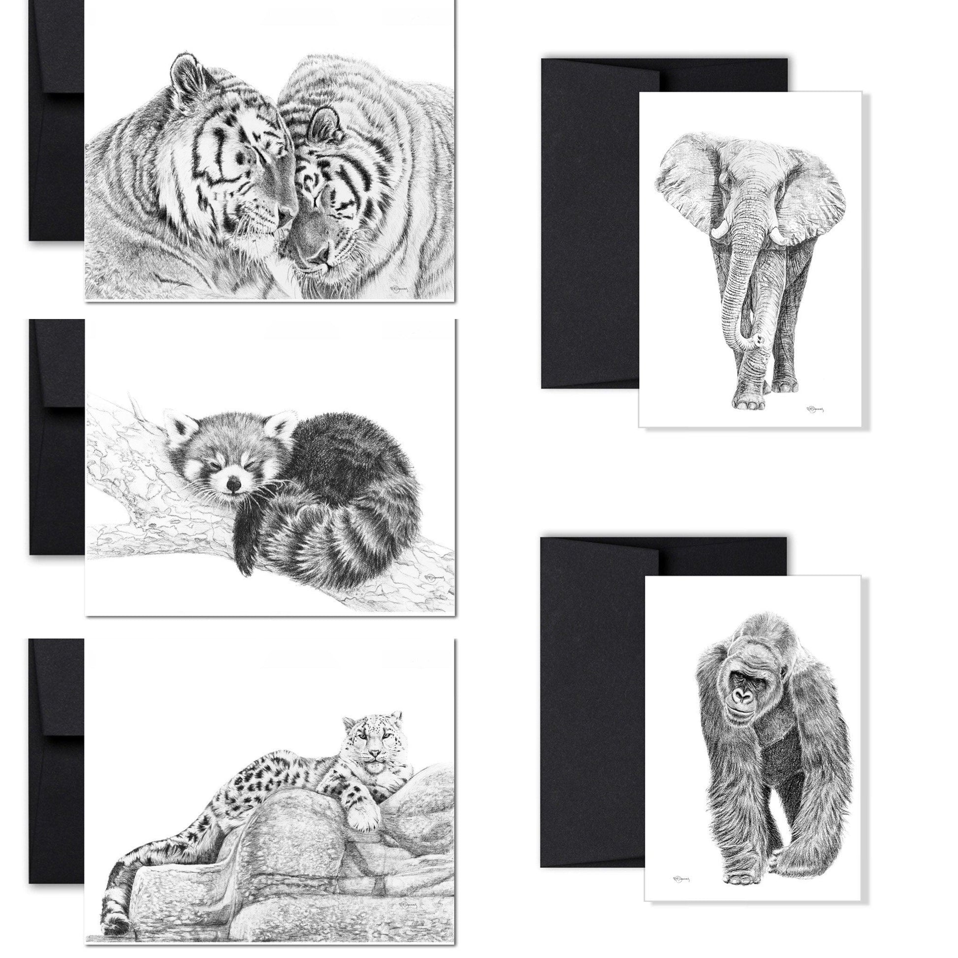 Complete Zoo Greeting Card Collection