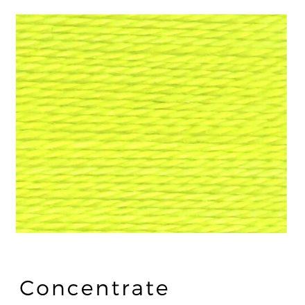 Trailhead Yarn - Concentrate 202
