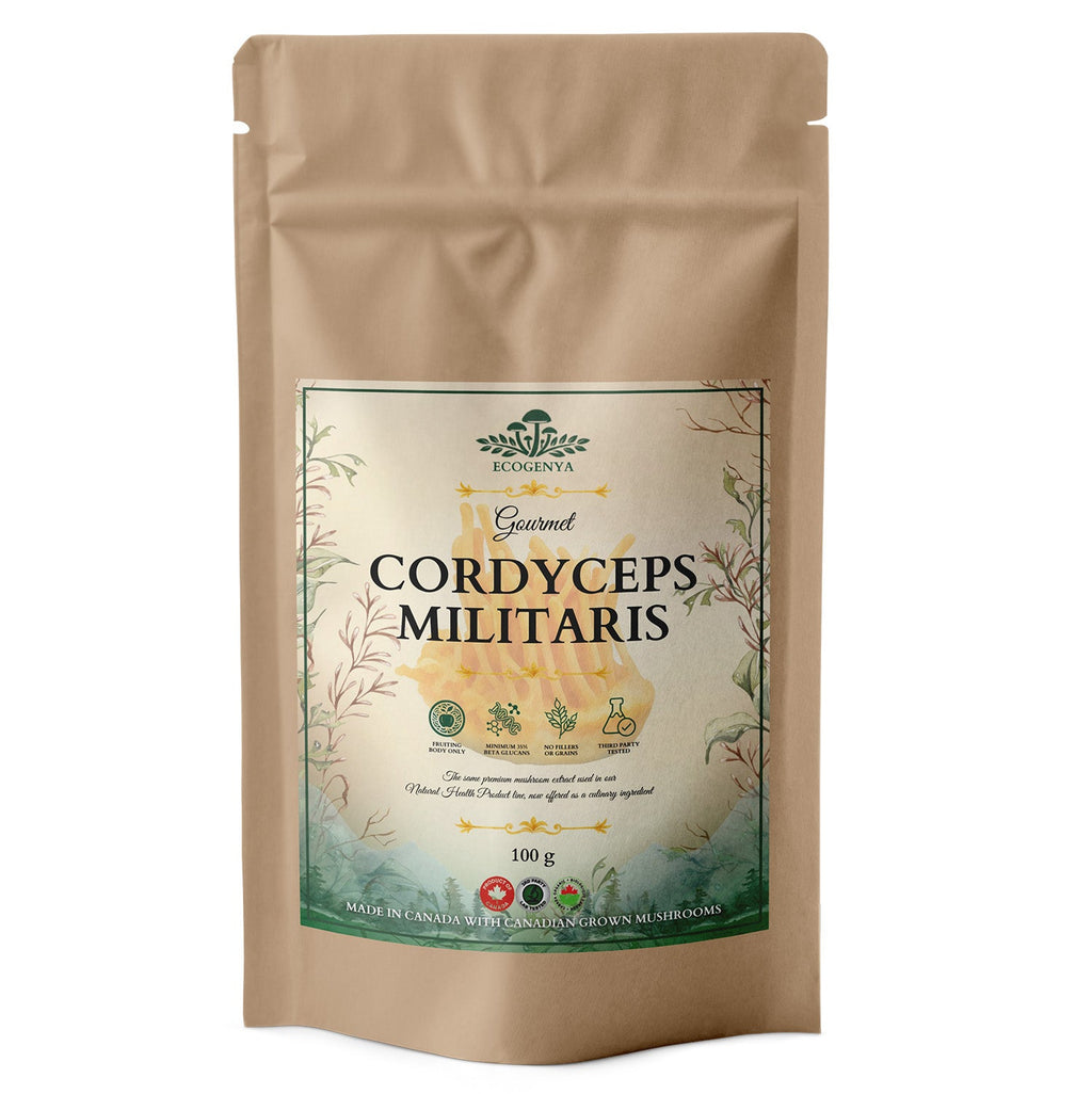 Ecogenya Gourmet Cordyceps Mushroom Powder – Organic Cordyceps Militaris Fruiting Body Extract