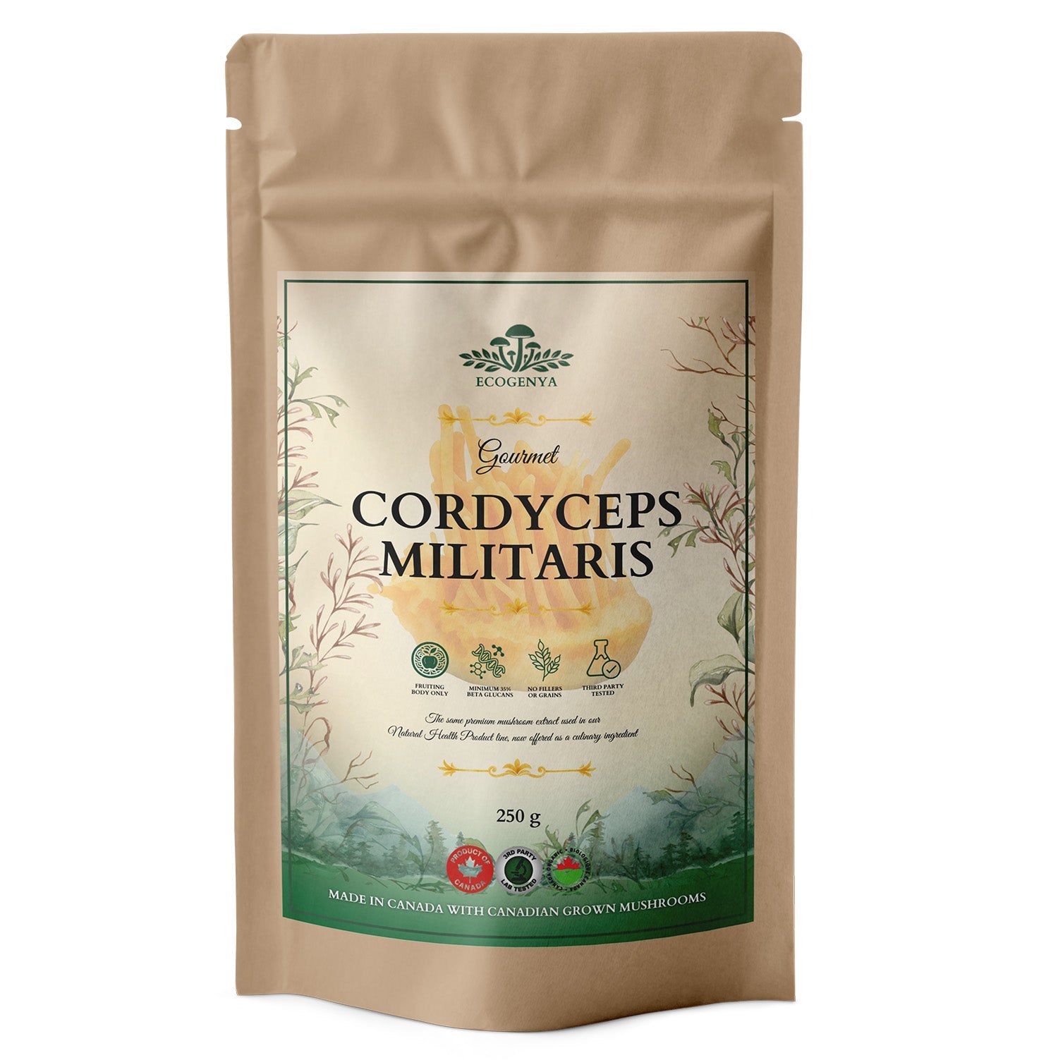 Ecogenya Gourmet Cordyceps Mushroom Powder – Organic Cordyceps Militaris Fruiting Body Extract