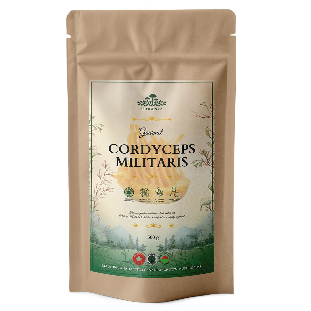Ecogenya Gourmet Cordyceps Mushroom Powder – Organic Cordyceps Militaris Fruiting Body Extract