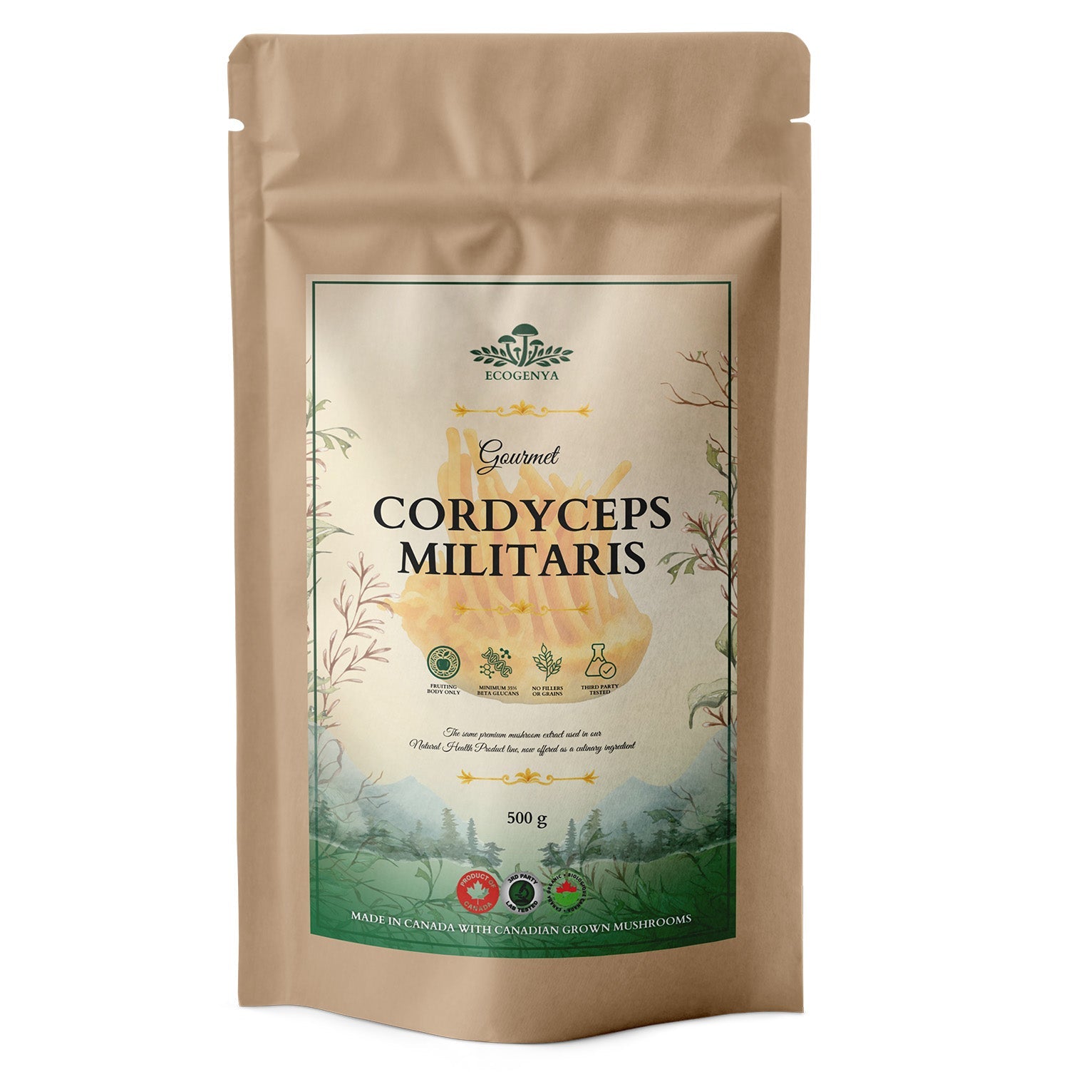 Ecogenya Gourmet Cordyceps Mushroom Powder – Organic Cordyceps Militaris Fruiting Body Extract
