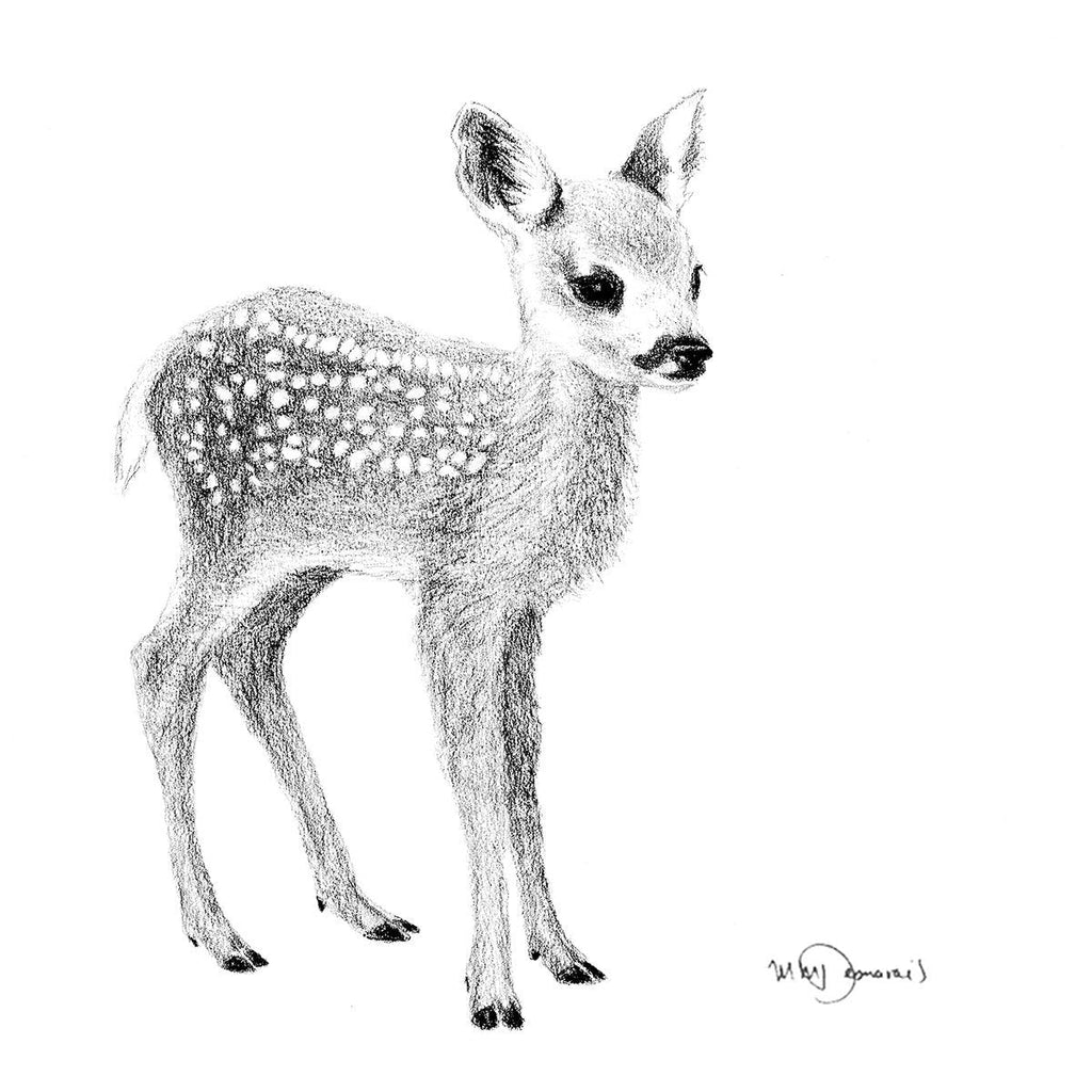 Cute Baby Deer - art print