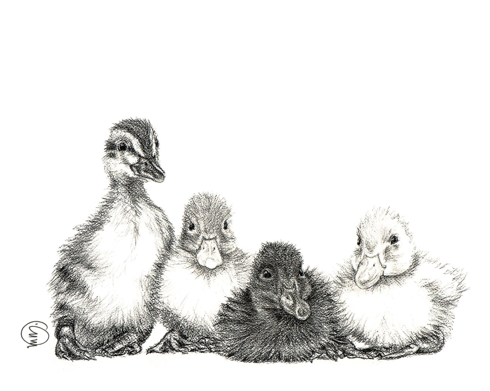 Cute Baby Ducklings - nursery wall decor