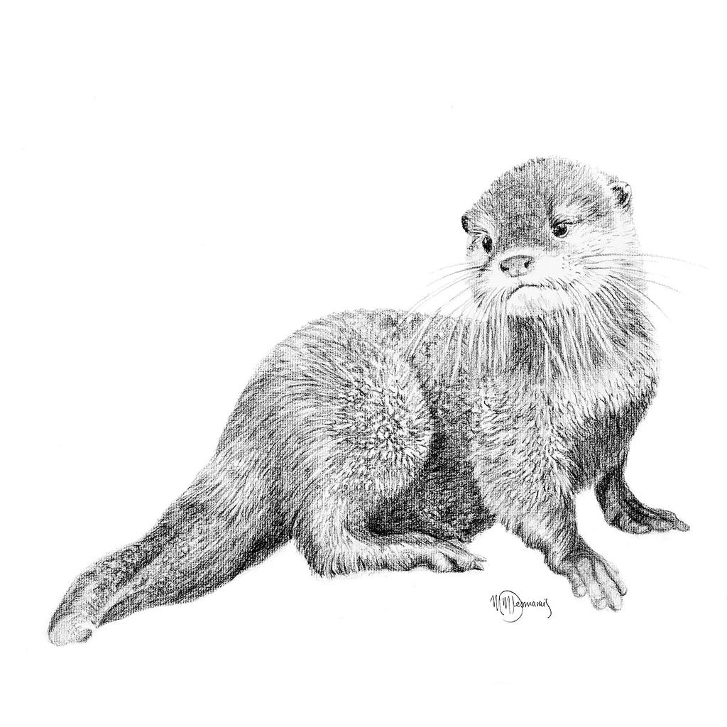 Cute Baby Otter - art print