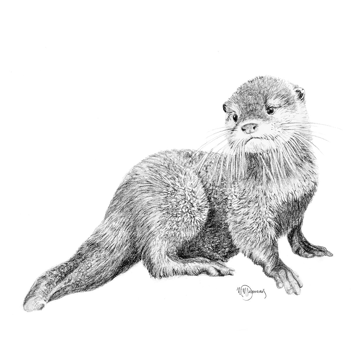 Cute Baby Otter - art print