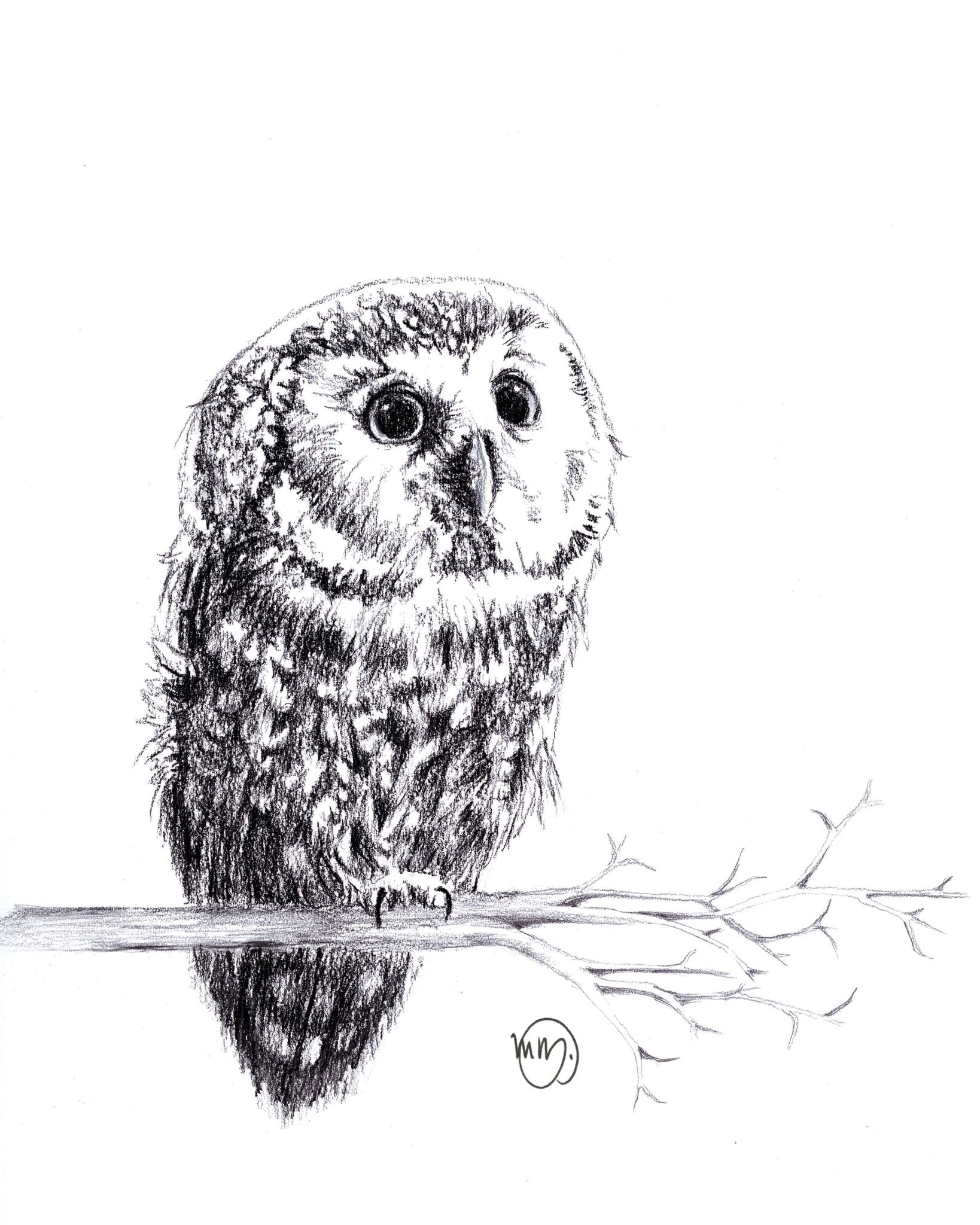 Cute Baby Owl - Black and White Nursery Wildlife deco Art Print