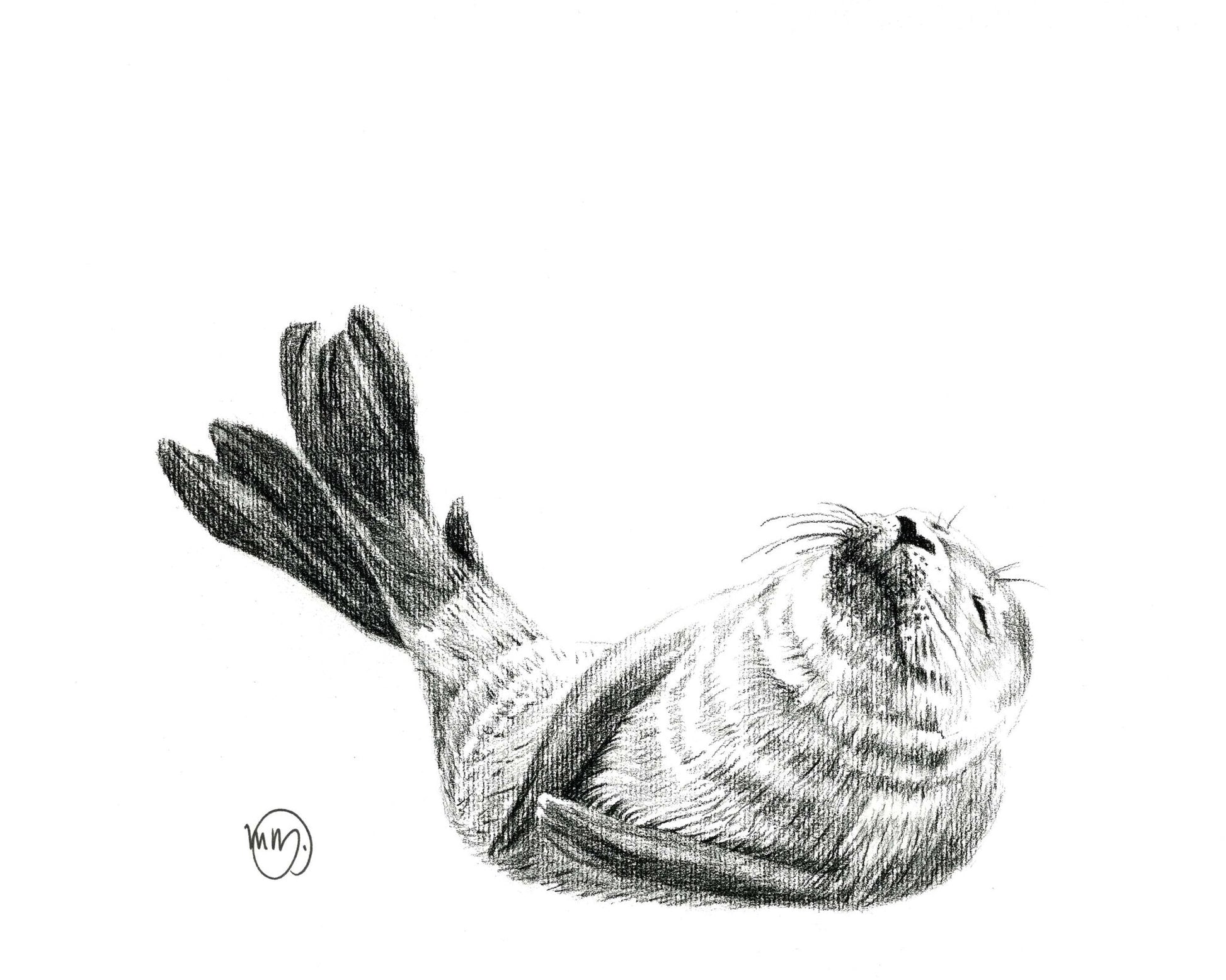 Cute Baby Seal Greeting Card