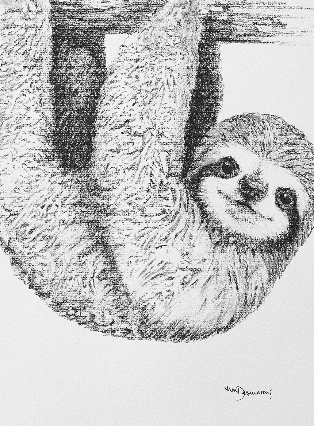 Cute Baby Sloth - black and white animal print