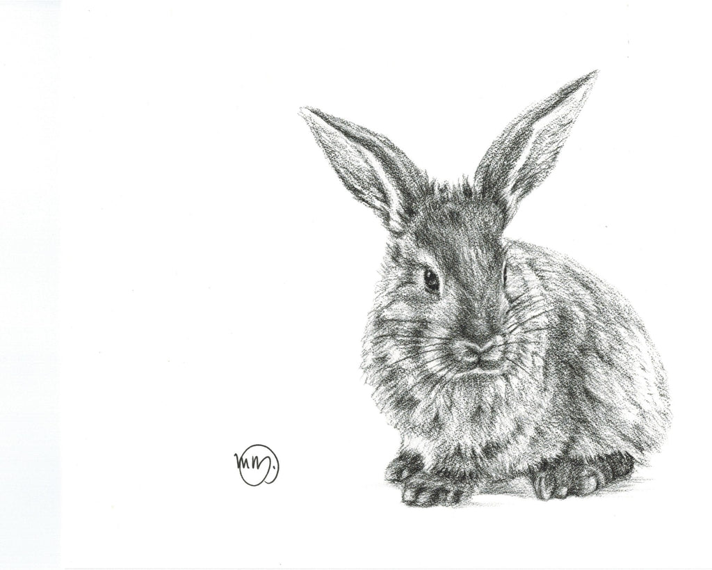 Cute Rabbit Greeting Card