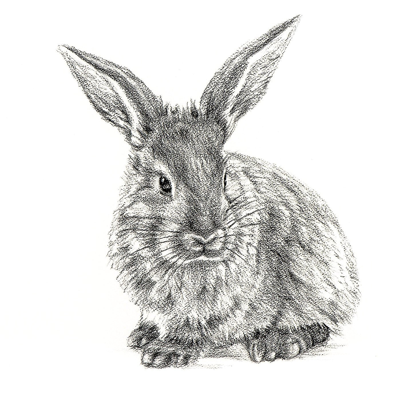 Cute Rabbit Profile - Black and White Nursery Wildlife Art Print