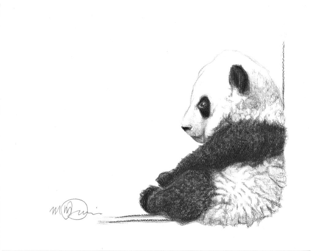 Cute Sitting Panda - black and white animal prints