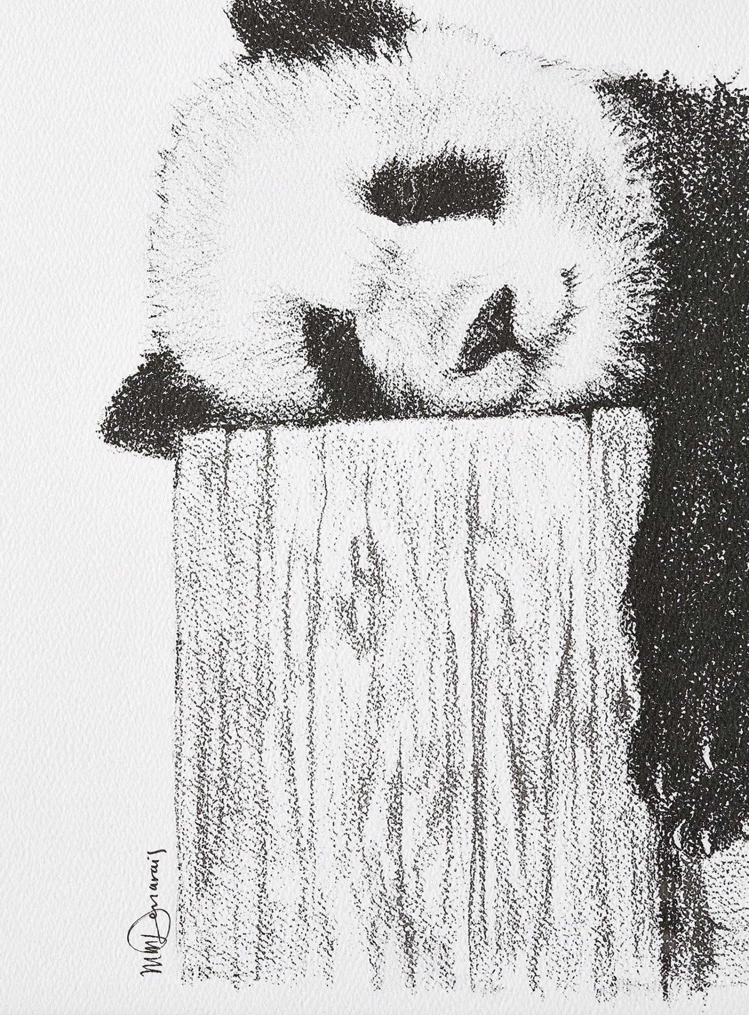 Cute sleeping Panda - Black and white art print