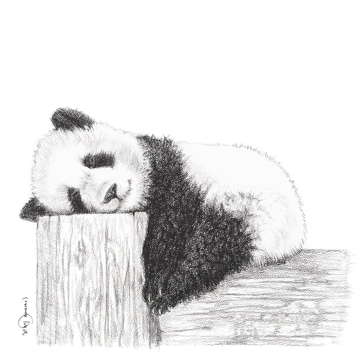 Cute sleeping Panda - Black and white art print