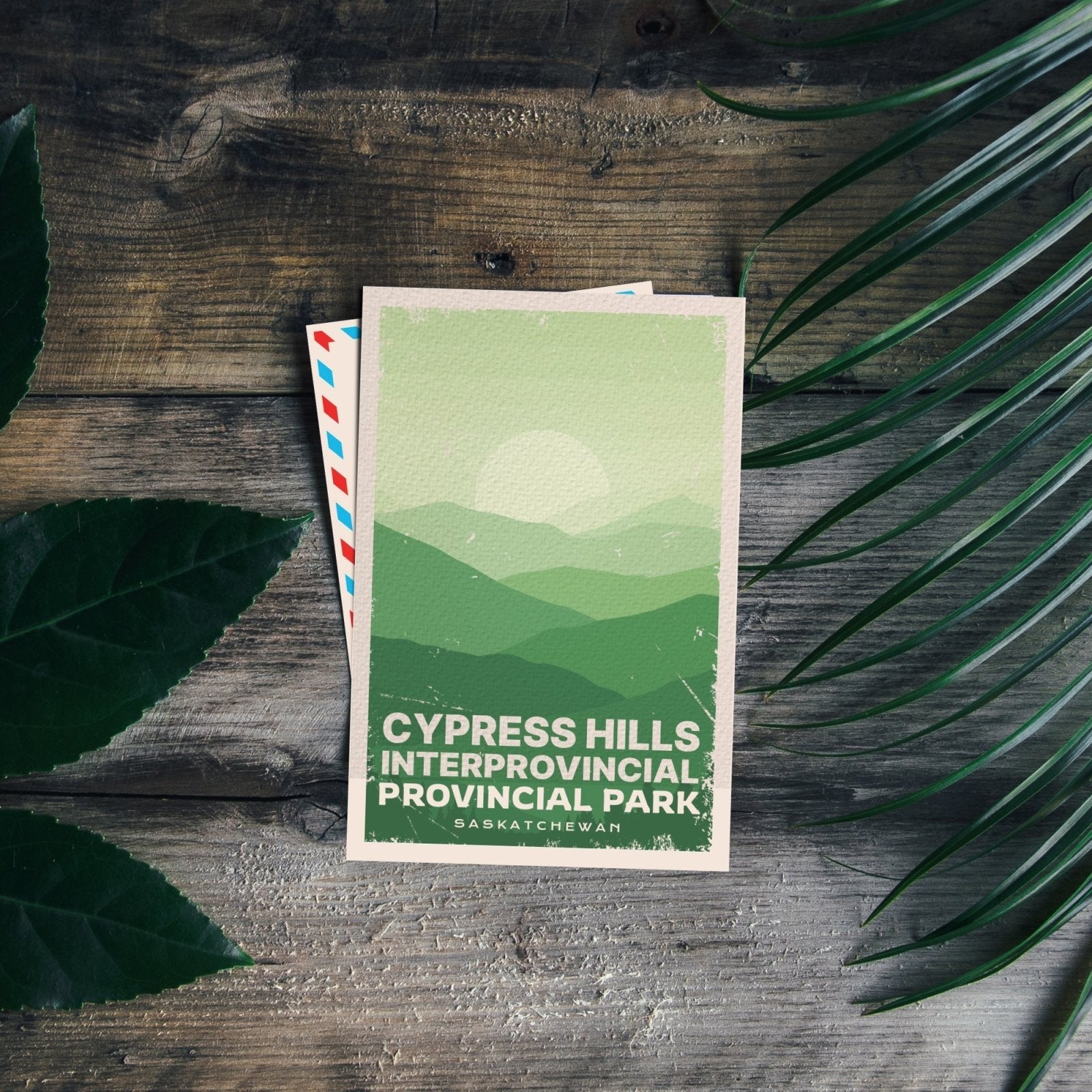 Cypress Hills Saskatchewan Provincial Park Postcard, Canada Parks