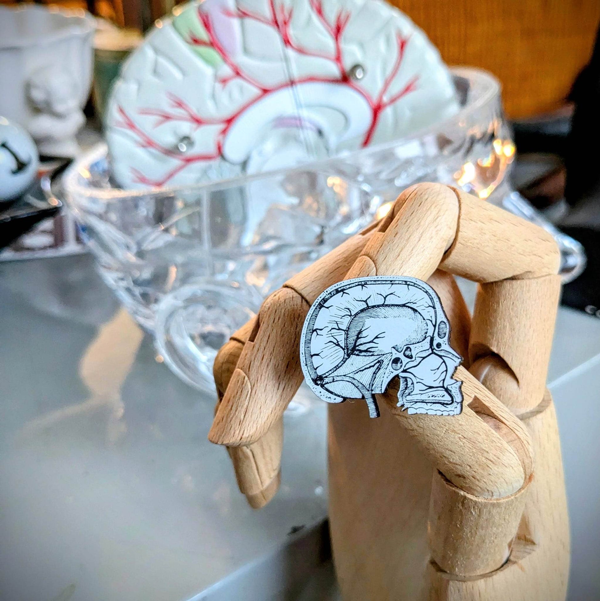 Vertical Section of the Brain and Skull Pin