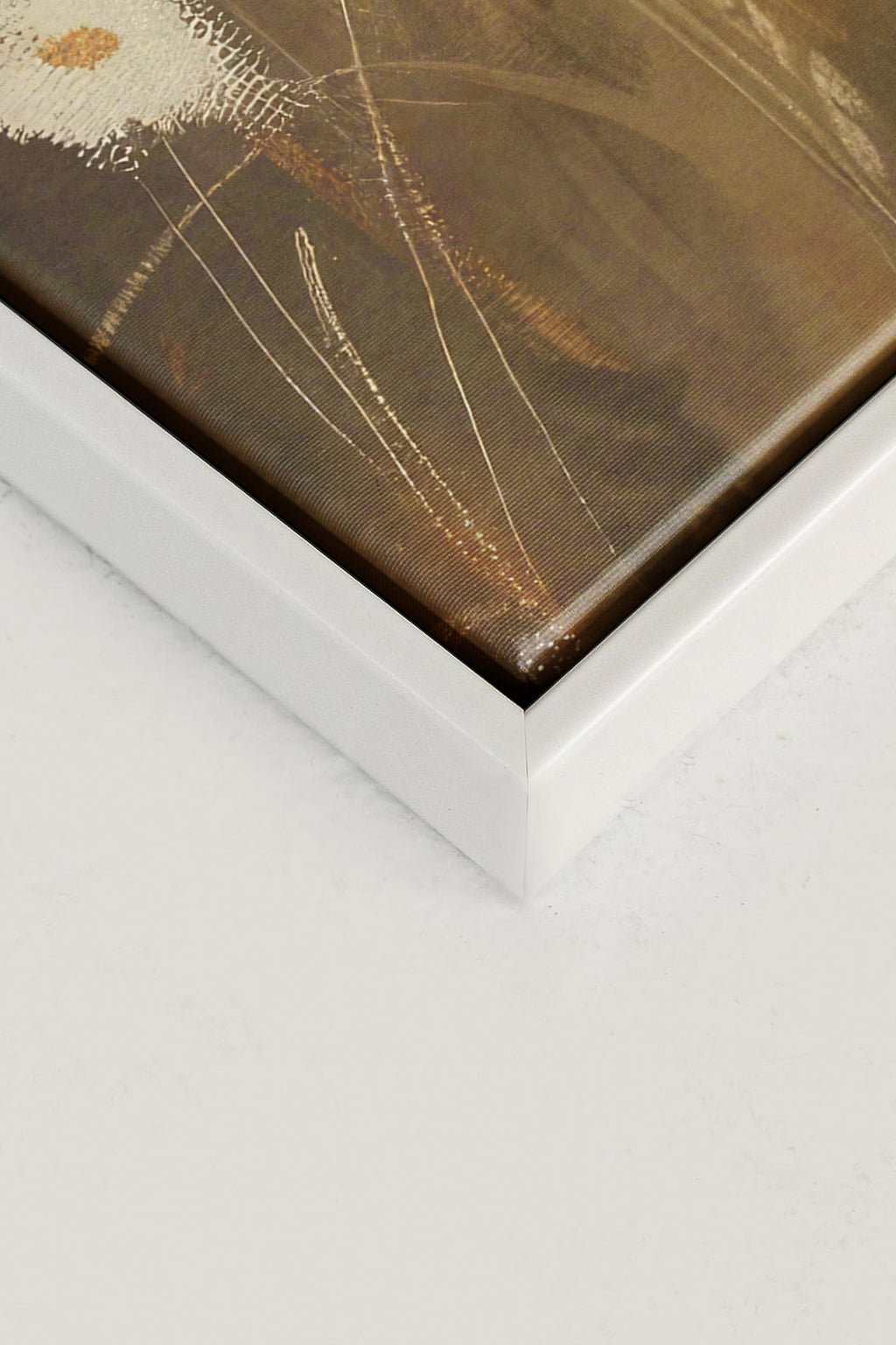 Daisy Breeze, Stretched Canvas Artwork