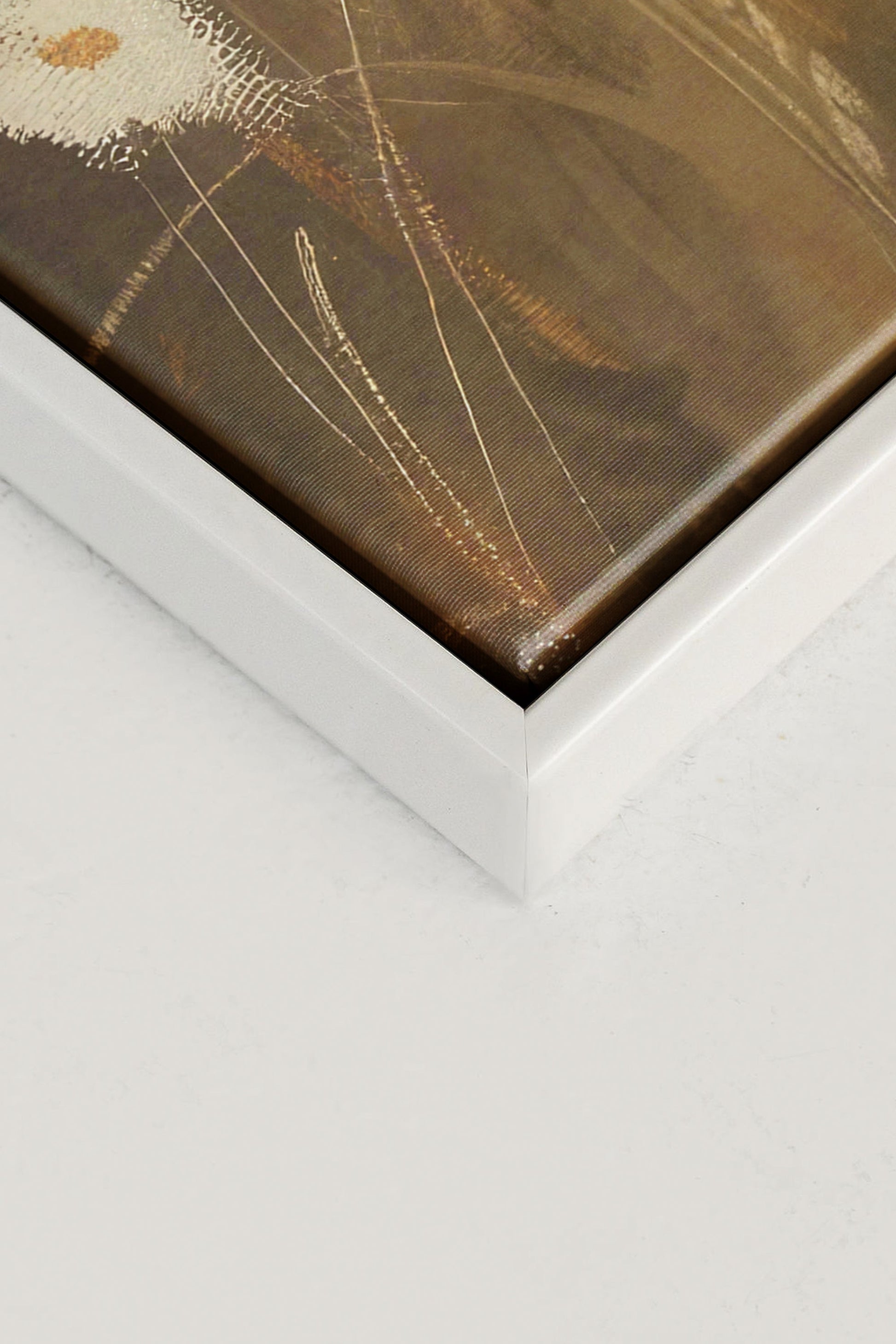 Daisy Breeze, Stretched Canvas Artwork