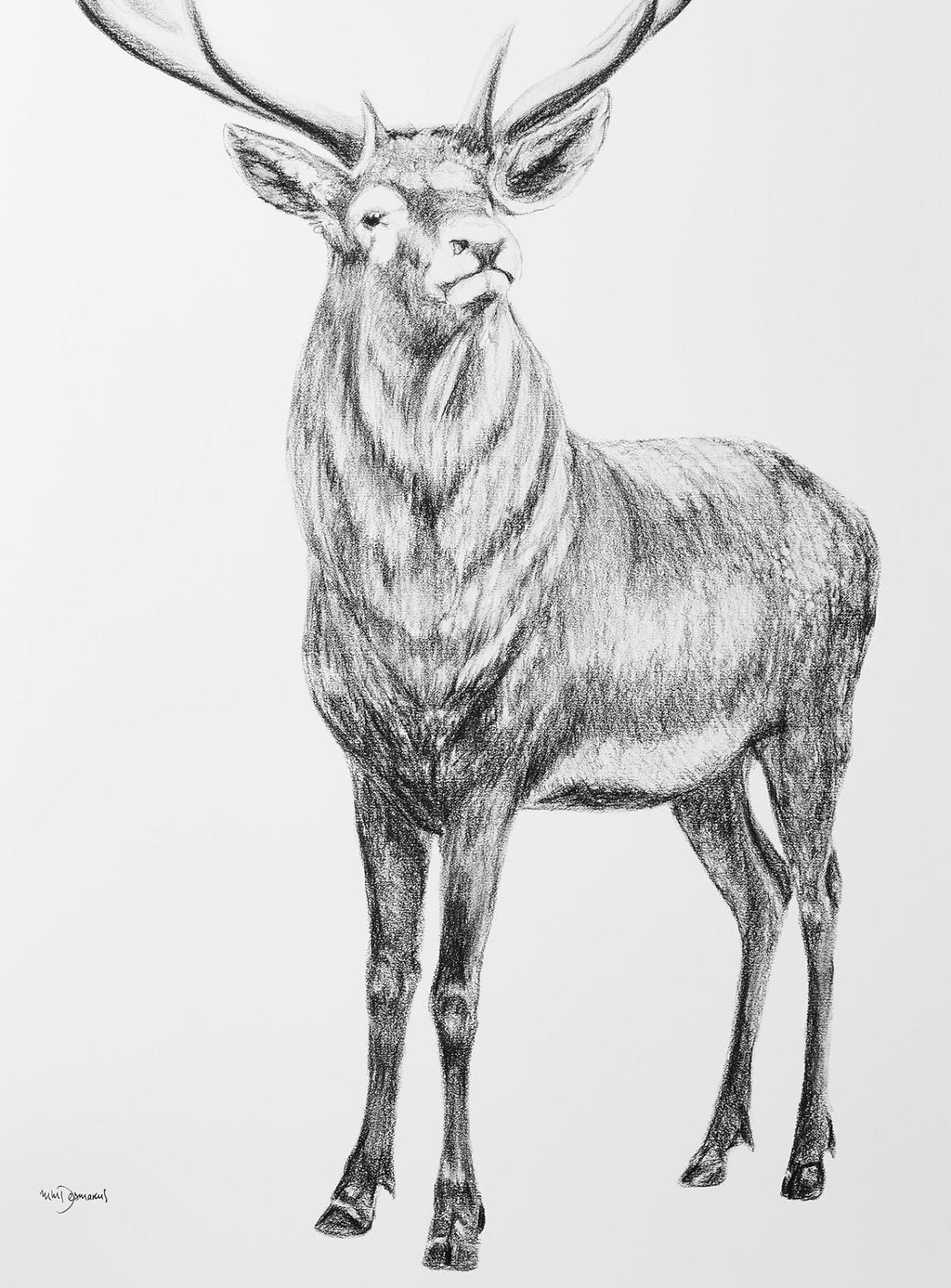 Deer with heart shaped antlers - illustration