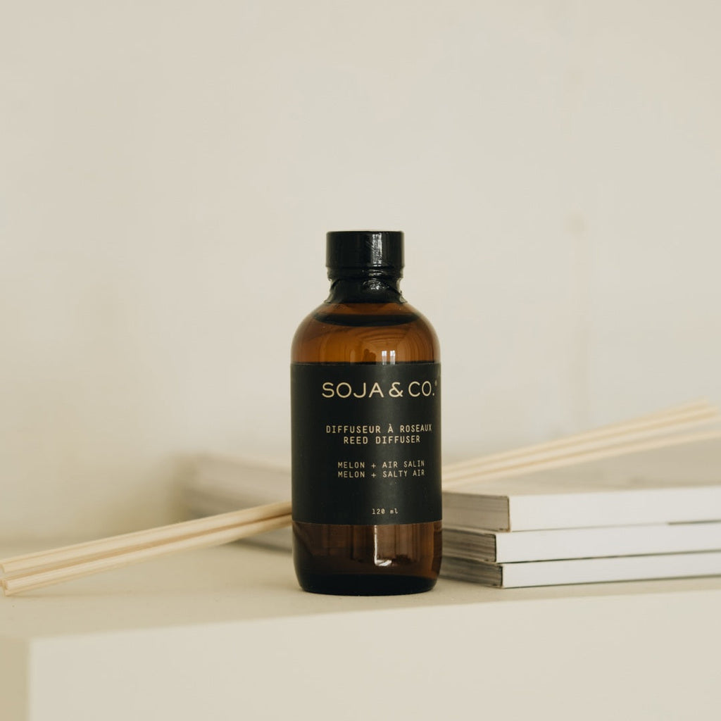 Reed Diffuser | Melon + Salty Air