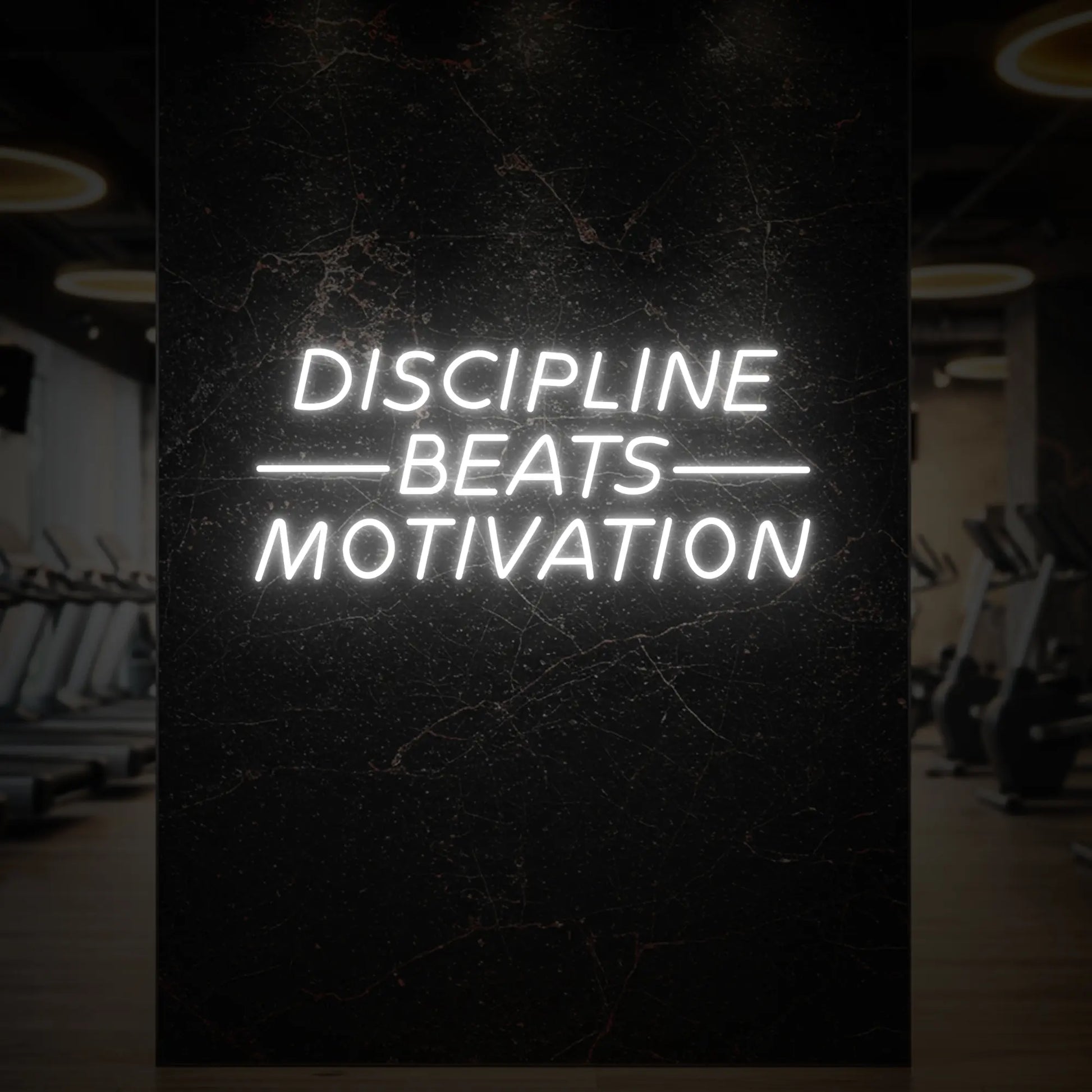LA DISCIPLINE VAUT LA MOTIVATION - Enseigne lumineuse