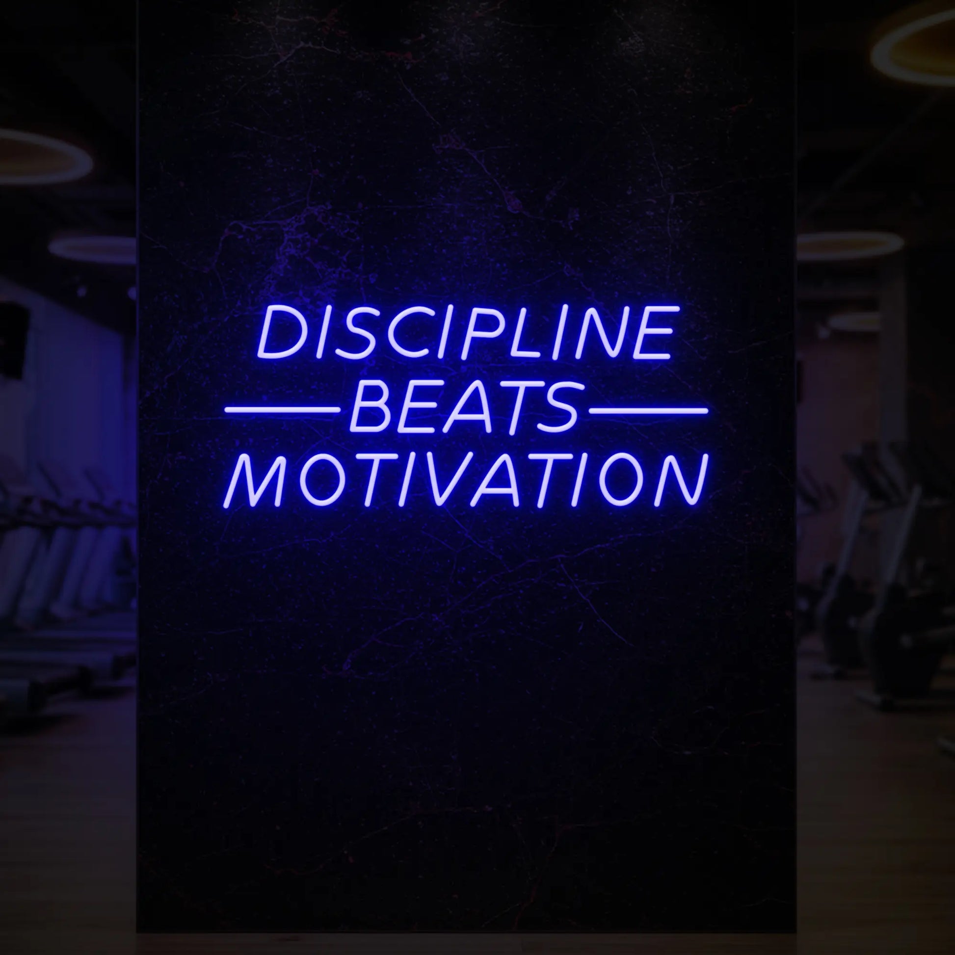 LA DISCIPLINE VAUT LA MOTIVATION - Enseigne lumineuse