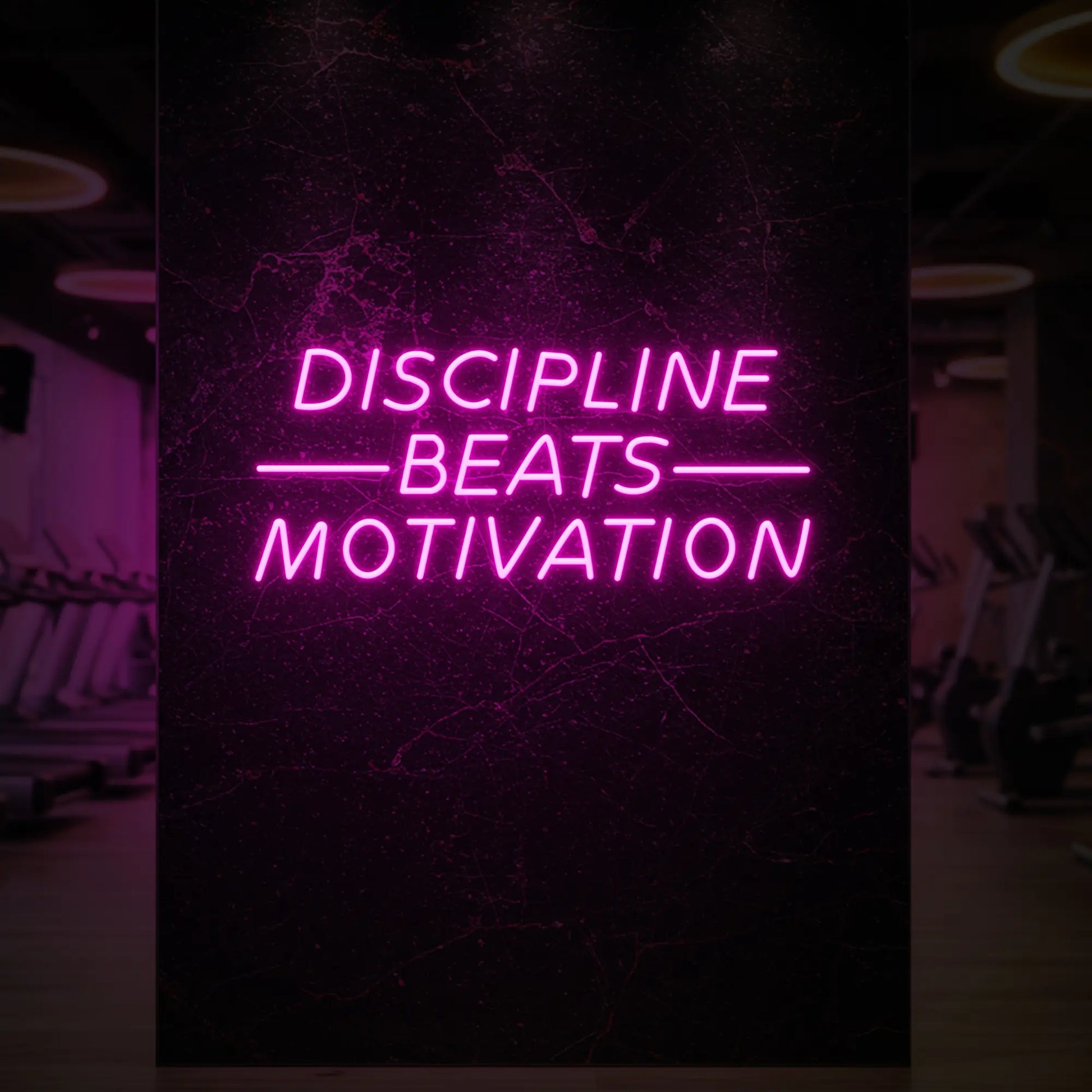LA DISCIPLINE VAUT LA MOTIVATION - Enseigne lumineuse