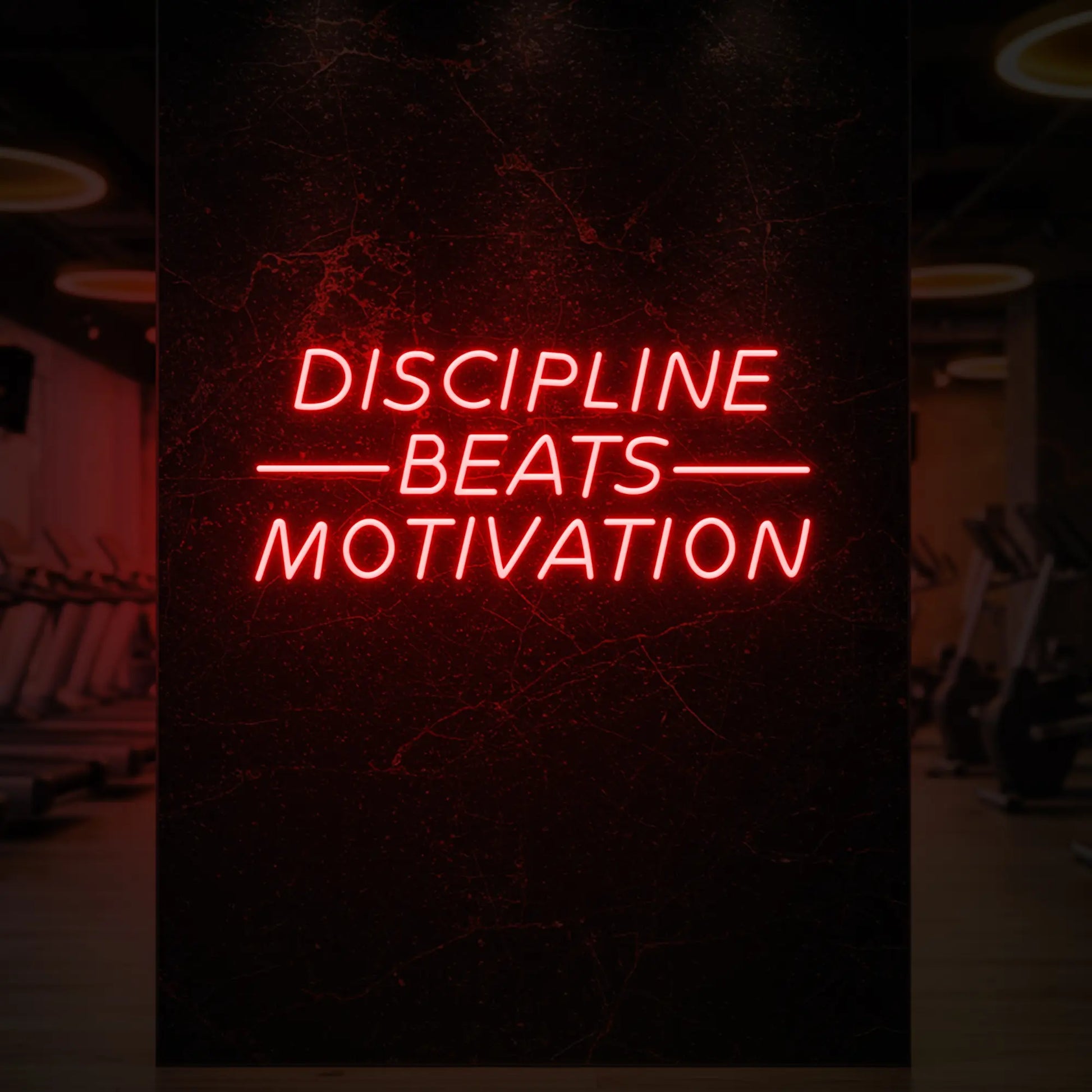 LA DISCIPLINE VAUT LA MOTIVATION - Enseigne lumineuse