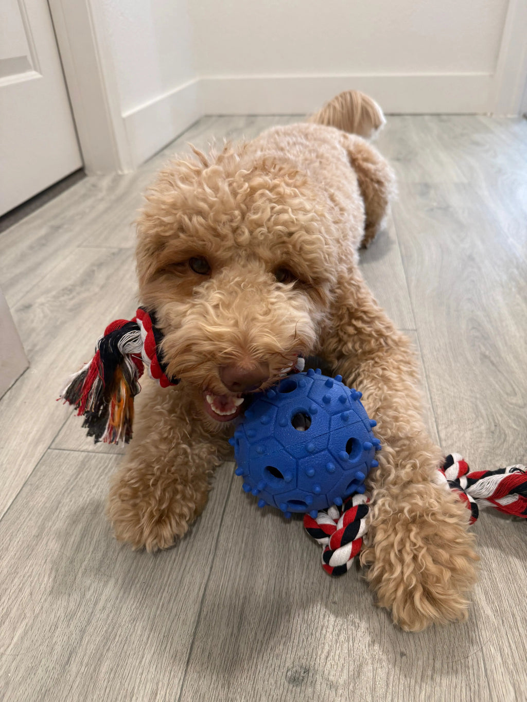 Dog Chew Toy with Tug of War Rope & Treat Dispenser Rubber Ball LUFTPETS