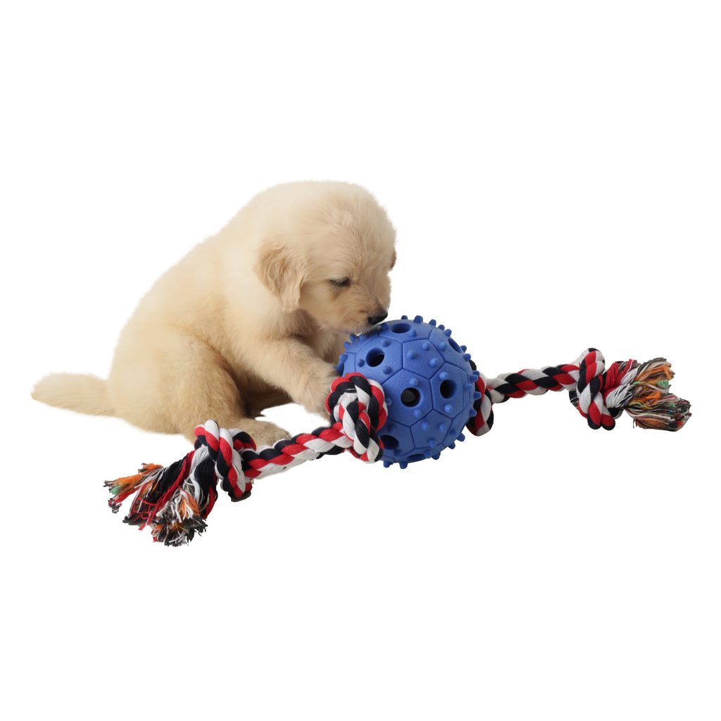Jouet à mâcher pour chien avec corde à tirer et distributeur de friandises, balle en caoutchouc