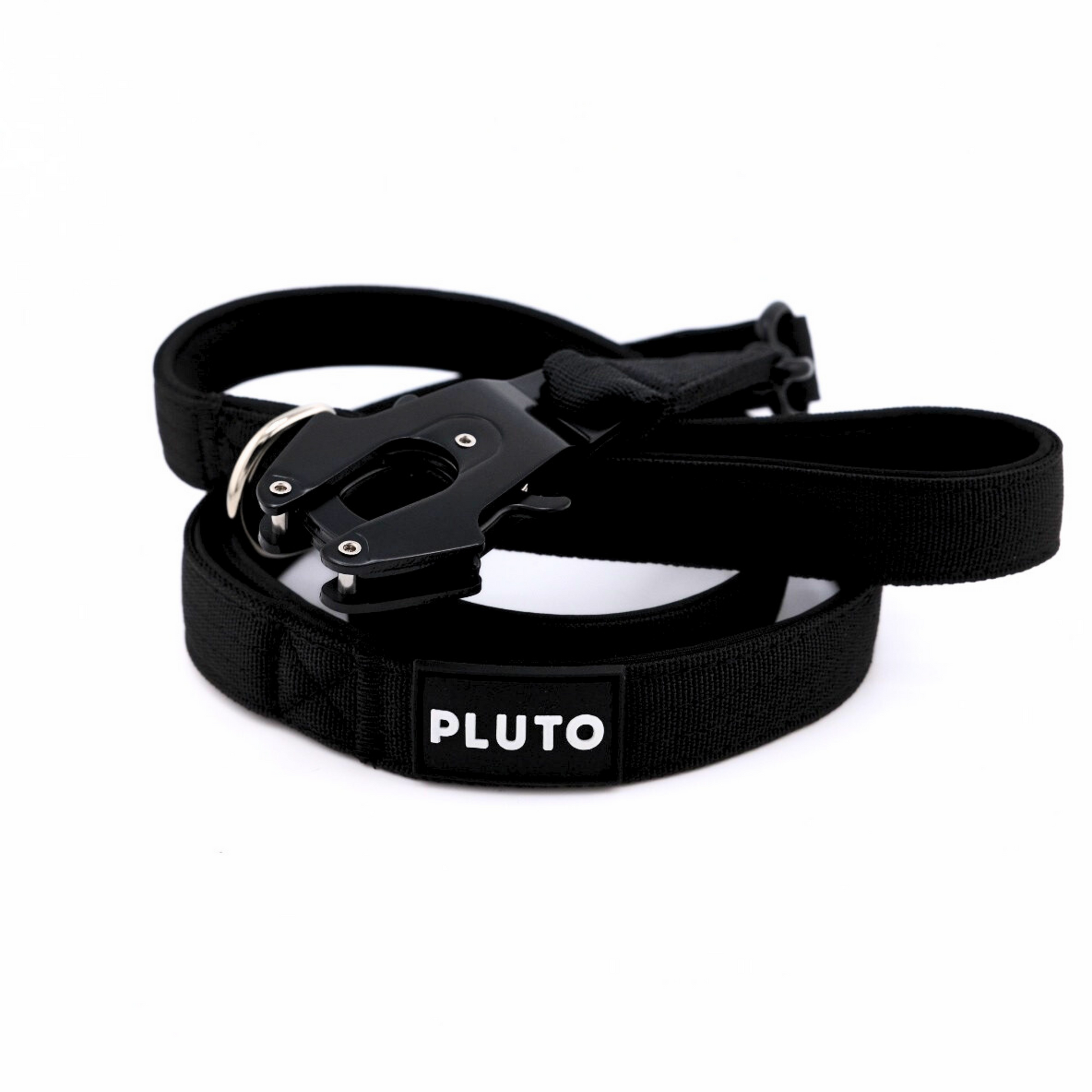 Laisse pour chien robuste