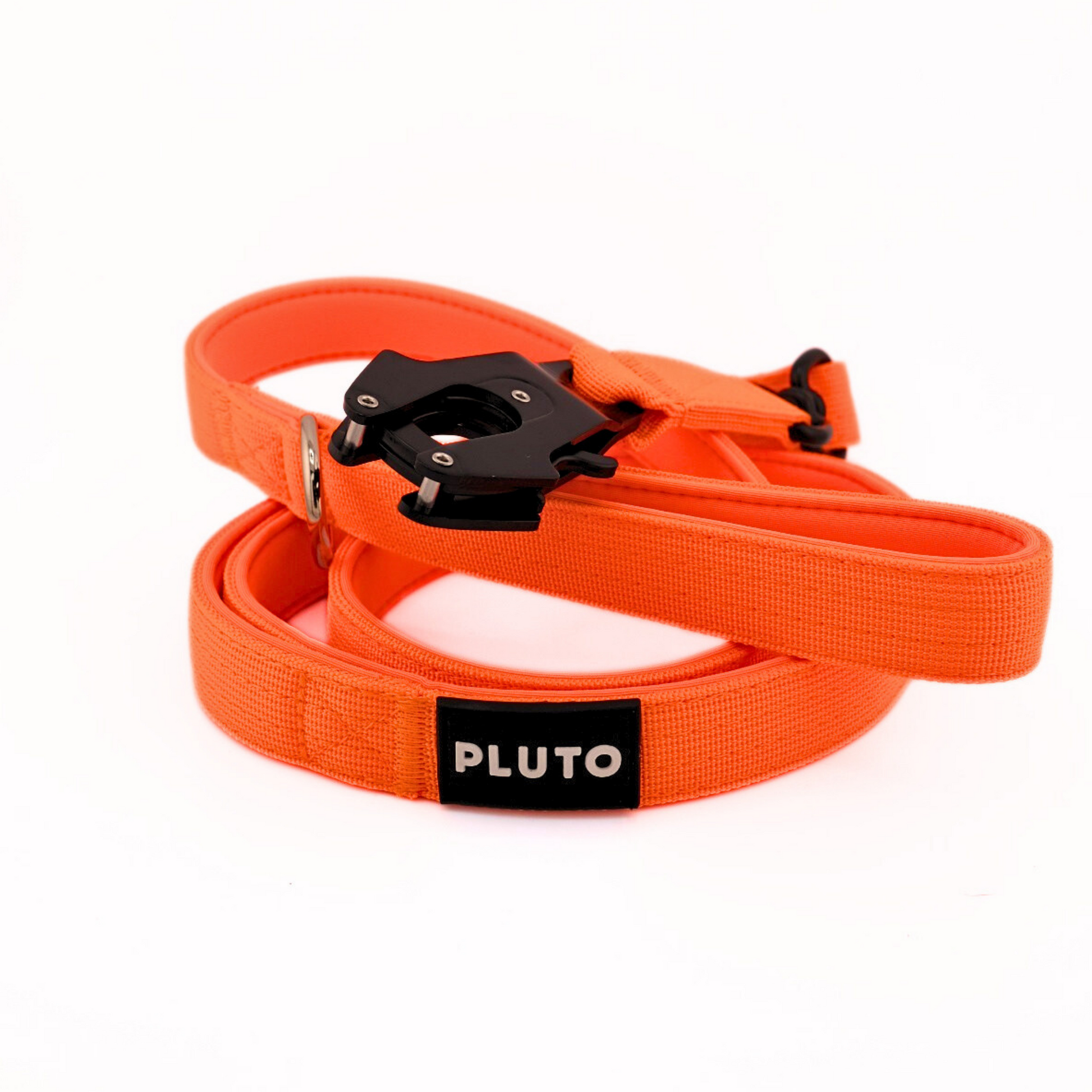 Laisse pour chien robuste