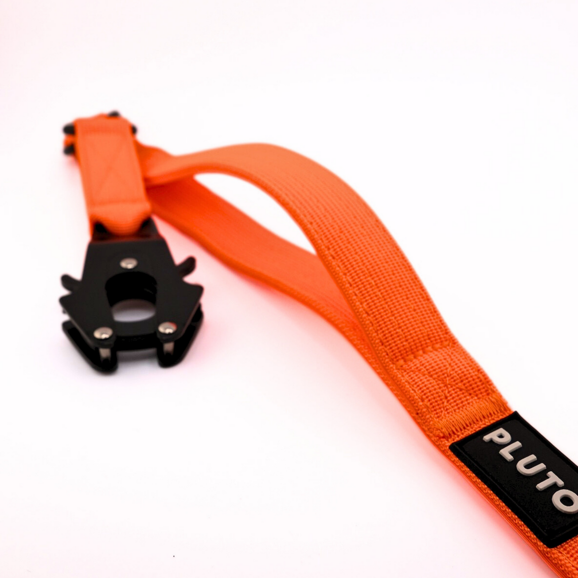 Laisse pour chien robuste