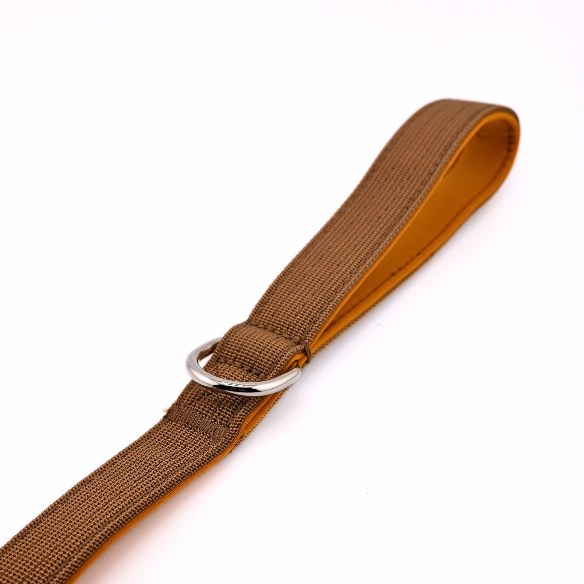 Laisse pour chien robuste