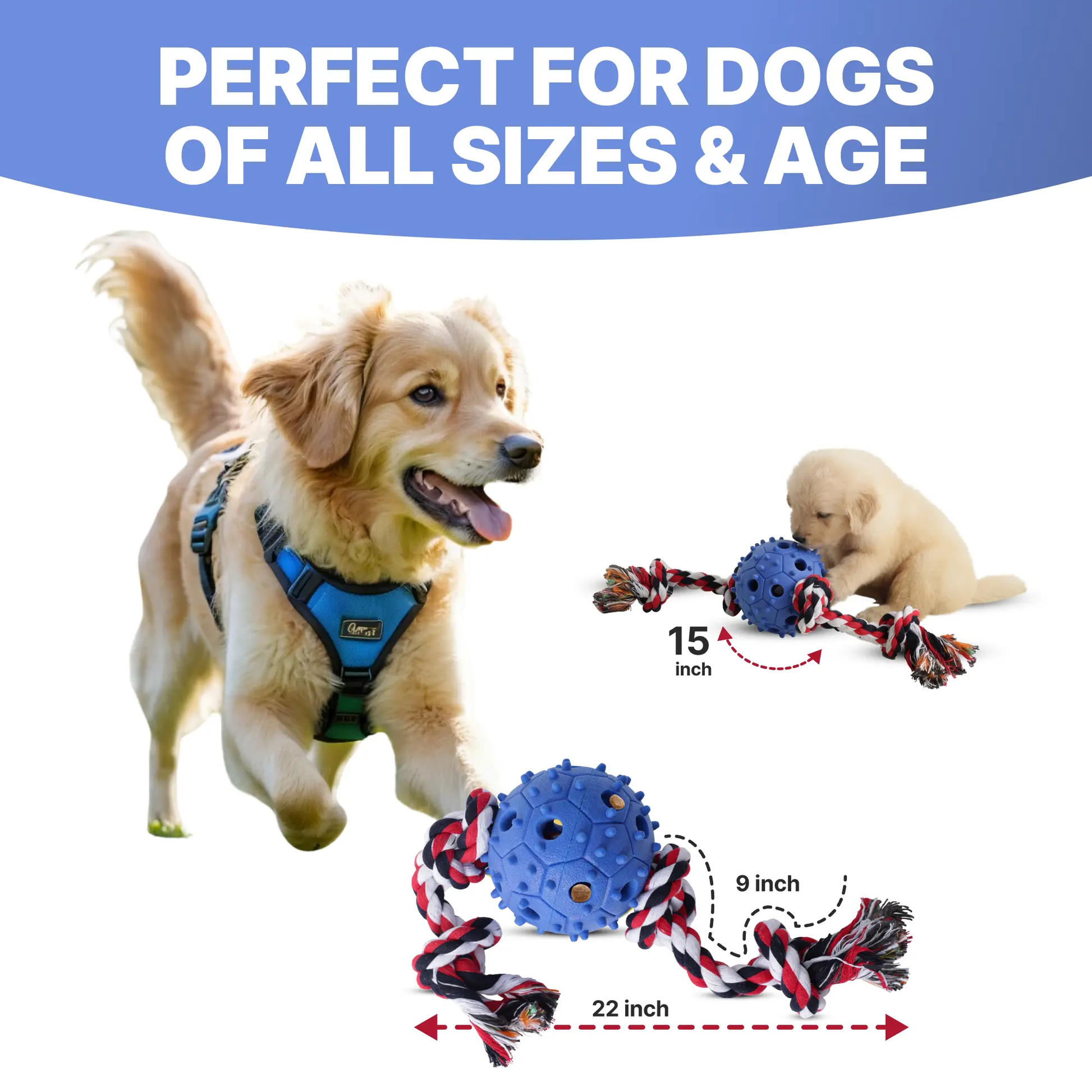 Jouet à mâcher pour chien avec corde à tirer et distributeur de friandises, balle en caoutchouc