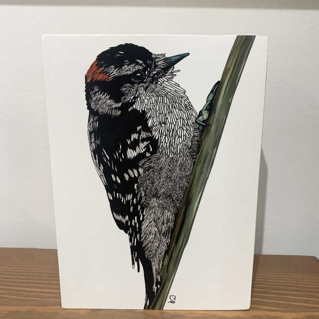 Print on Wood Block - Downy Woodpecker