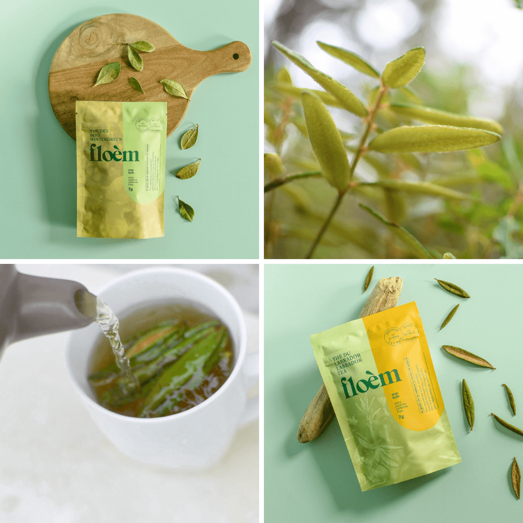 Herbal Tea Set - Complete Set, Variety Pack