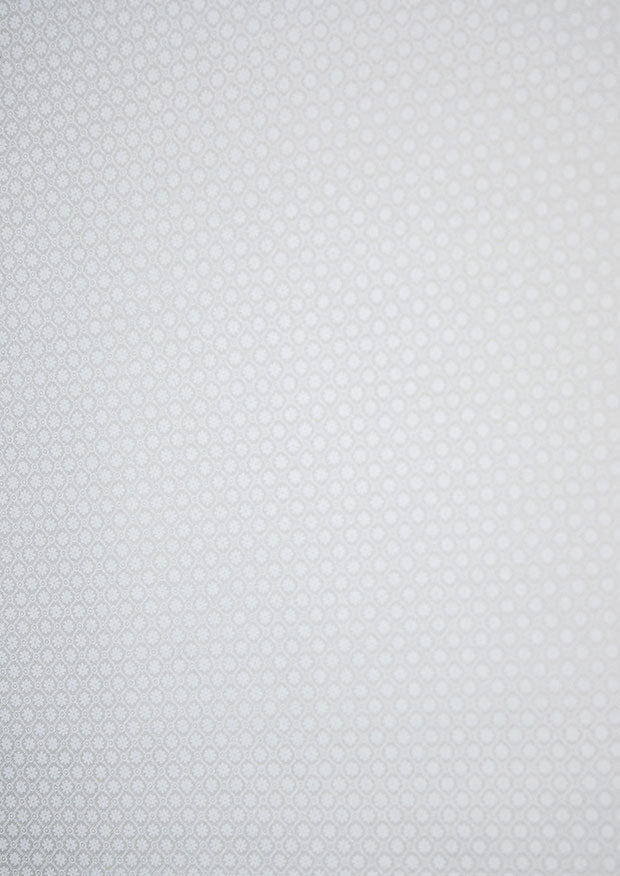 Tissu ton sur ton blanc sur blanc - Treillis de marguerites - Palette de base 