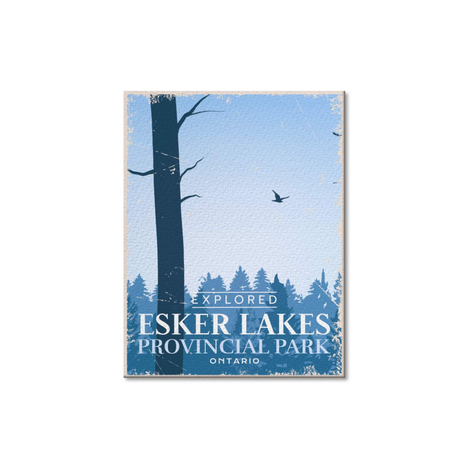 Esker Lakes Ontario Provincial Park Postcard
