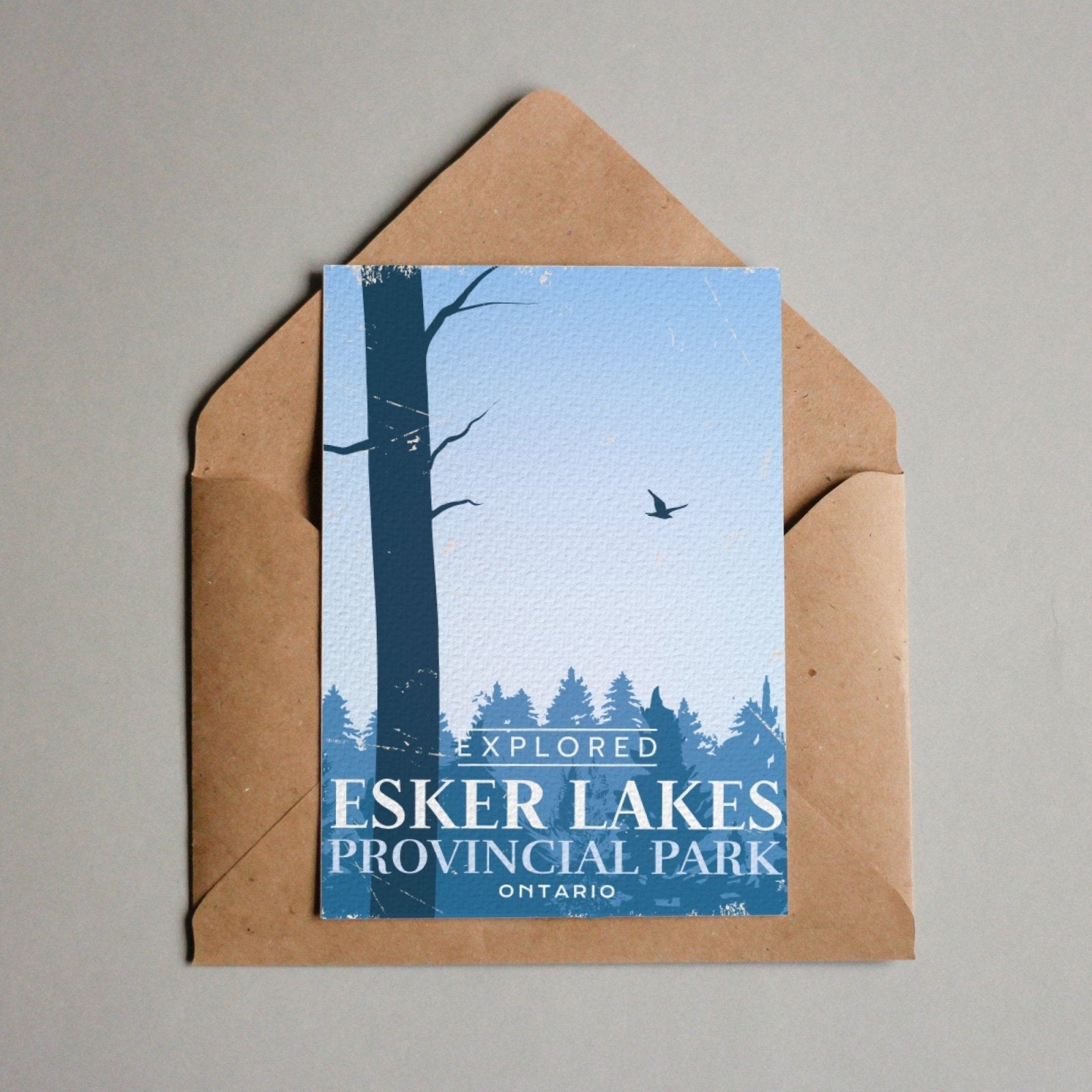 Esker Lakes Ontario Provincial Park Postcard