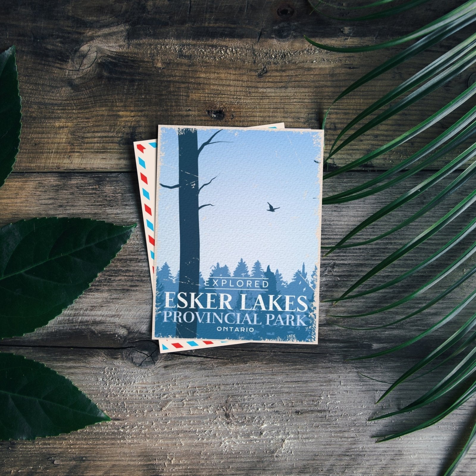 Esker Lakes Ontario Provincial Park Postcard