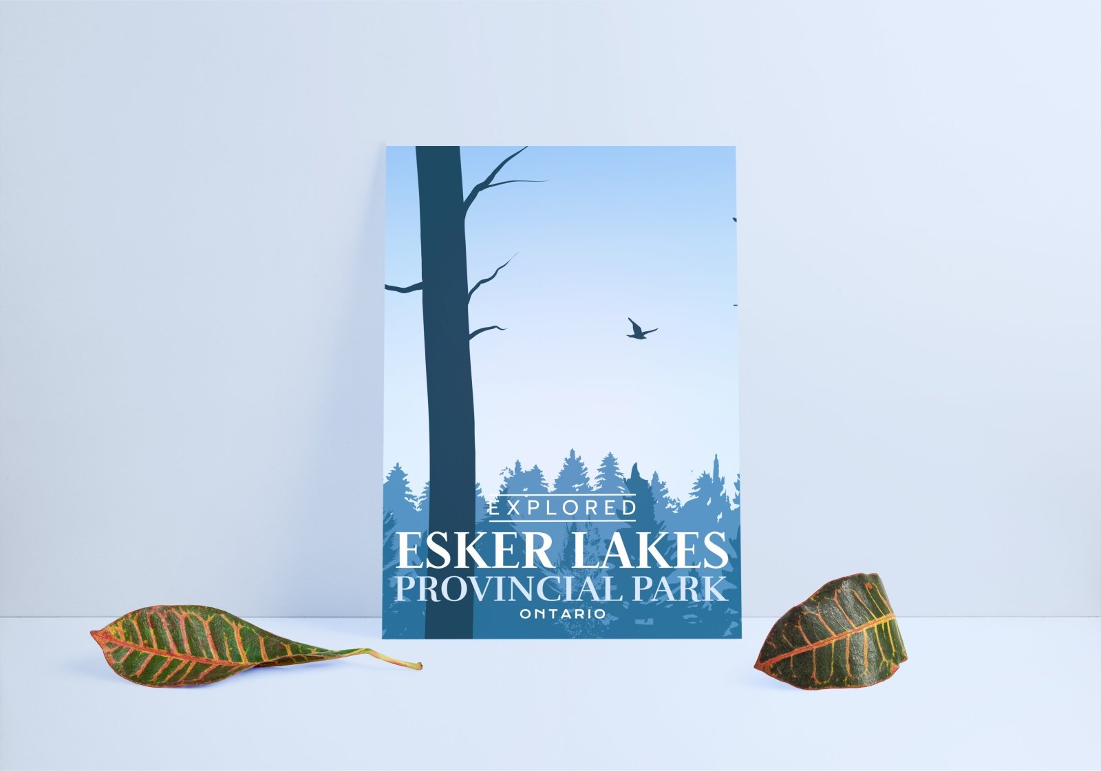 Affiche « Explorée » du parc provincial des lacs Esker