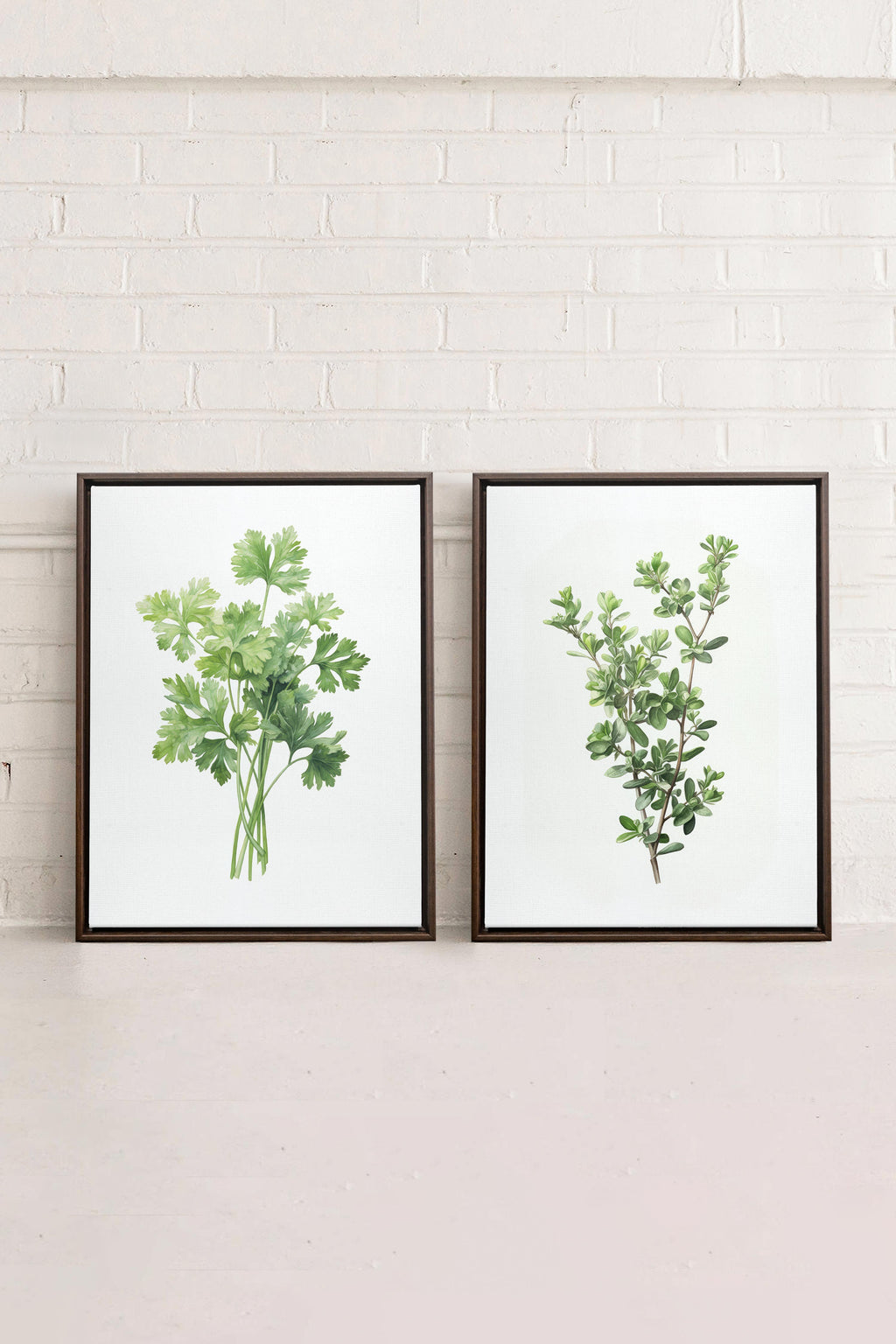 DUO FINE HERBS (2 Stretched Canvas Works)