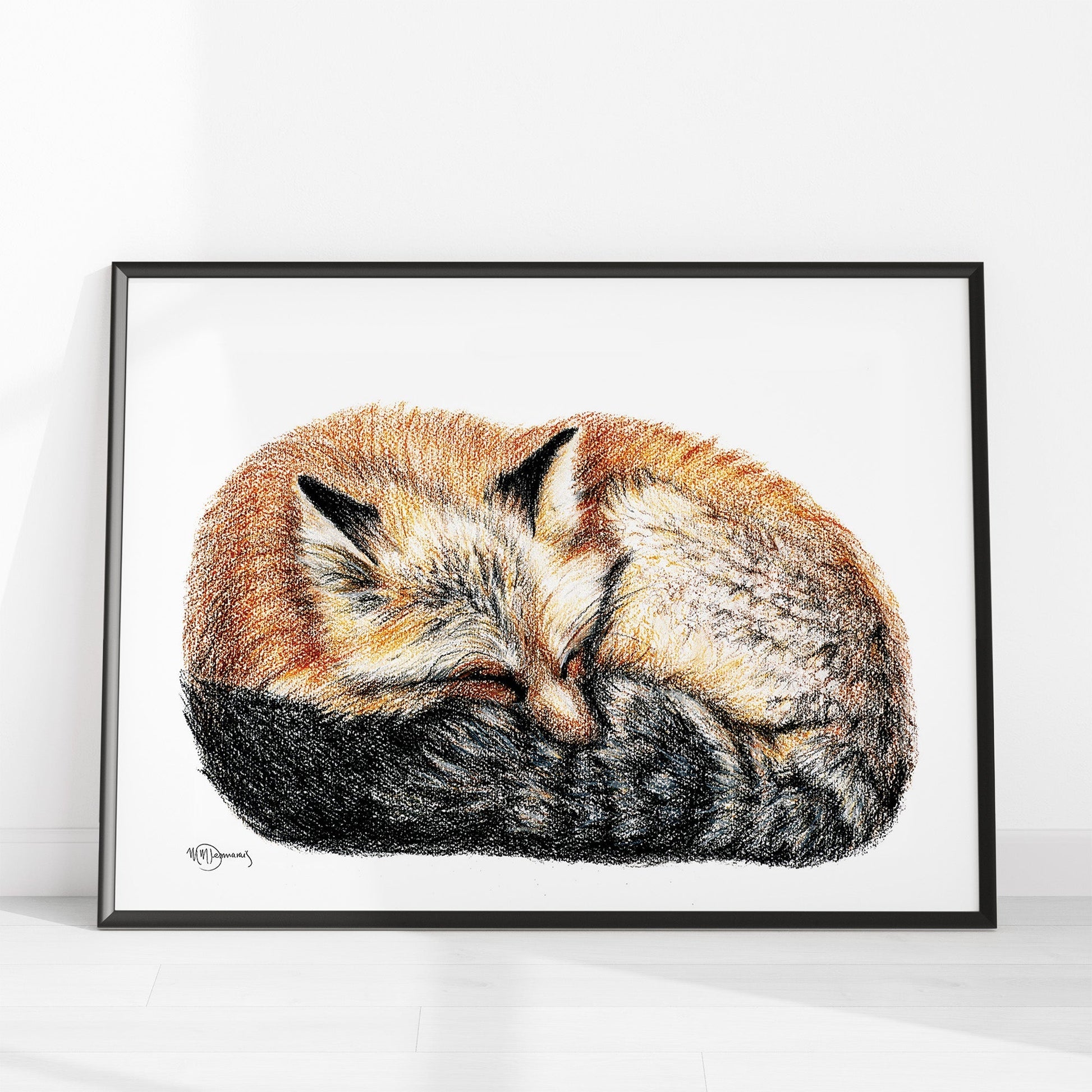Fox sleeping - curled into a ball -  Colored  animal art print