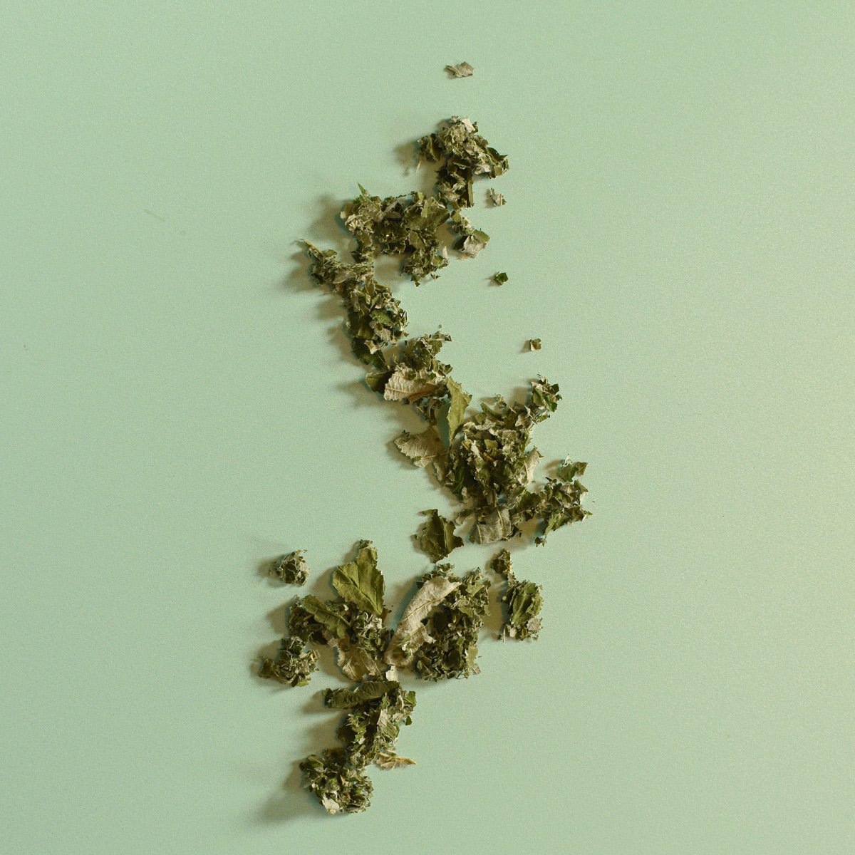 Raspberry Leaf - Rubus idaeus