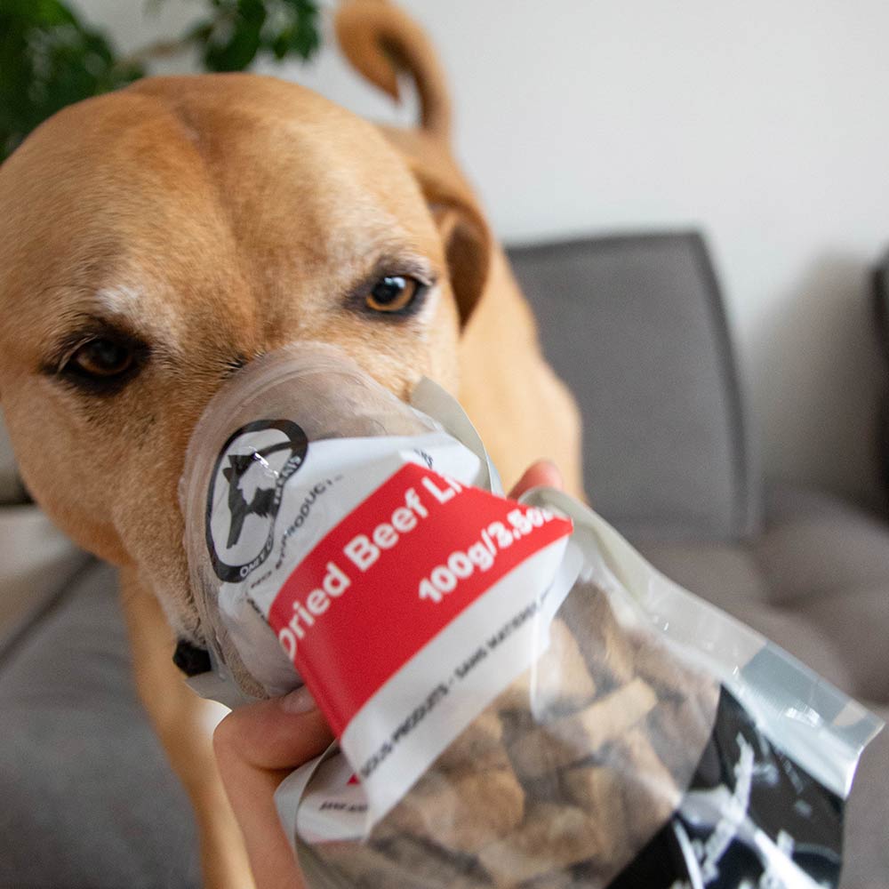 Foie de bœuf lyophilisé 100 g