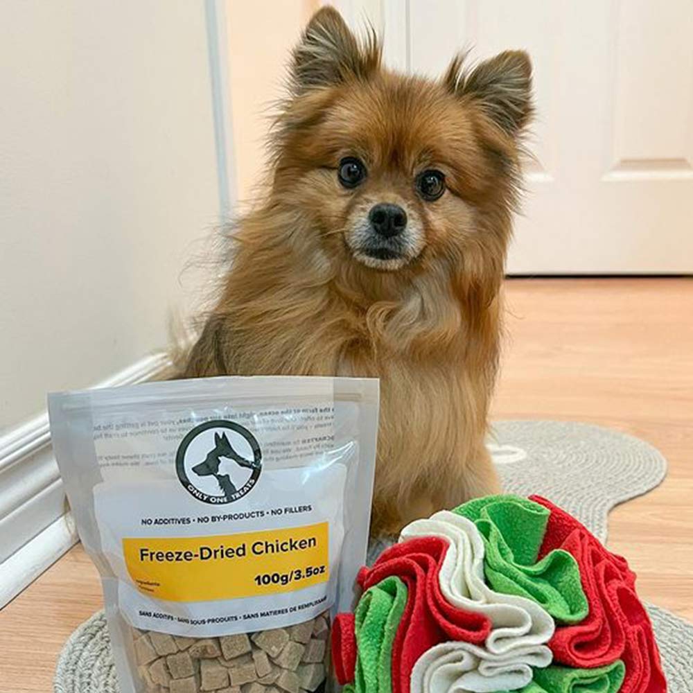 Poulet lyophilisé 100 g